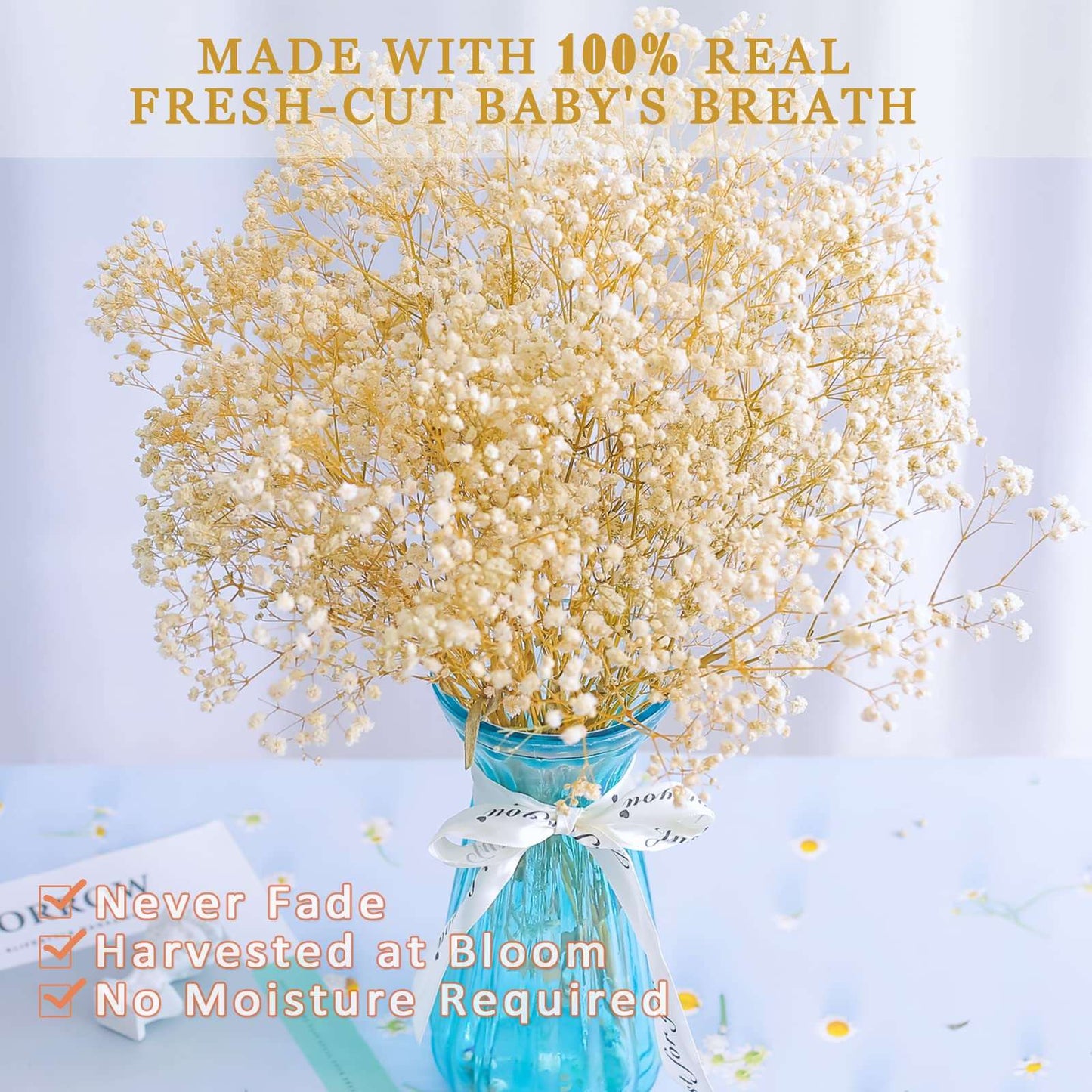 dried_flower - preserved_flower - fake_flower - 2500+Head Dried Babys Breath Flowers Bouquet 17.2inch Natural 3oz-Ivory White - Molly Garden - Molly_Garden_Floral