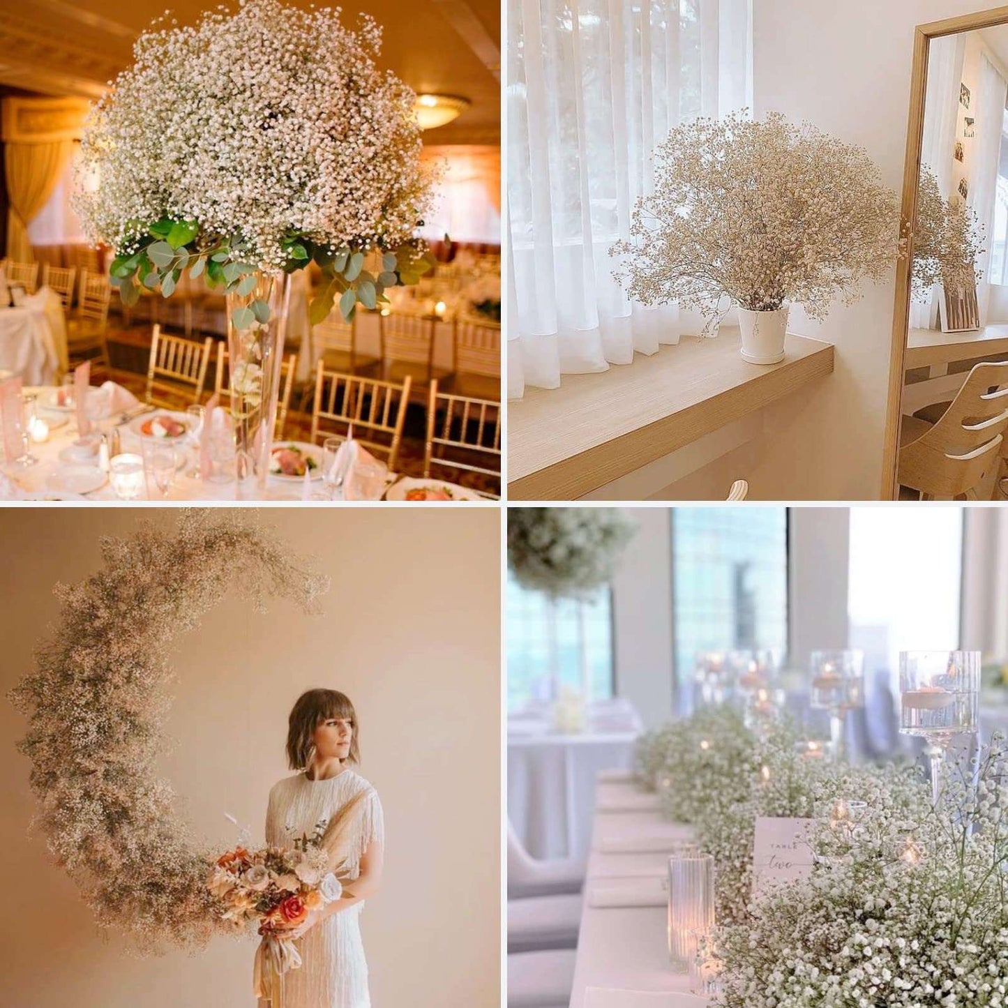 dried_flower - preserved_flower - fake_flower - 2500+Head Dried Babys Breath Flowers Bouquet 17.2inch Natural 3oz-Ivory White - Molly Garden - Molly_Garden_Floral