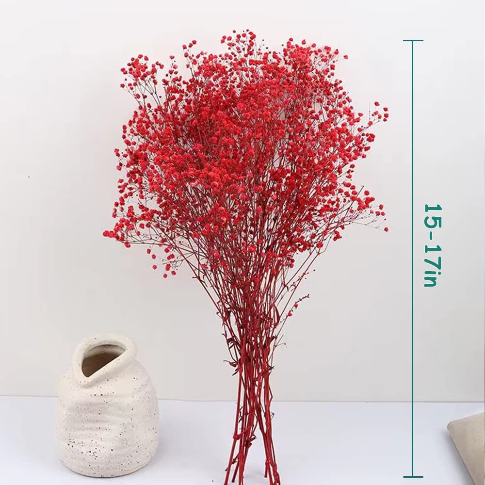 dried_flower - preserved_flower - fake_flower - 2500+Head Dried Babys Breath Flowers Bouquet 17.2inch Natural 3oz-Red - Molly Garden - Molly_Garden_Floral