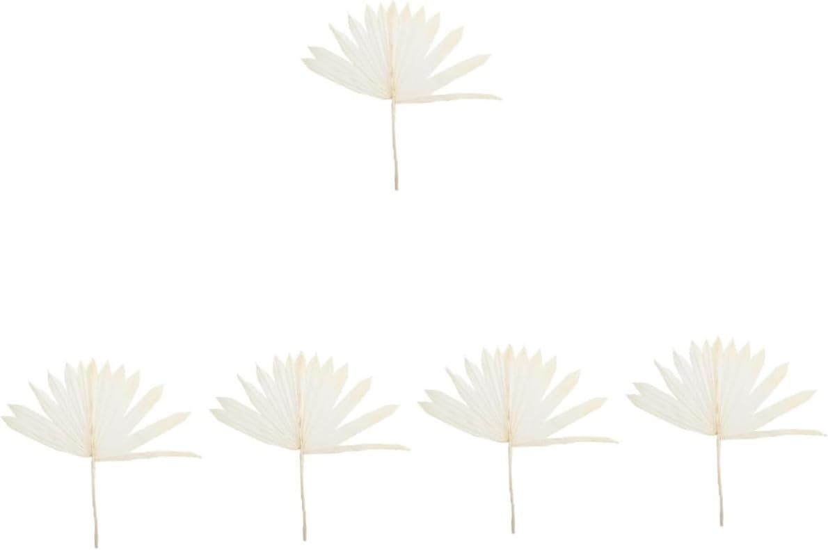 *2Pcs Palm Leaf Palm Leaves Dried Tropical Dried Stems Fans Decor Household