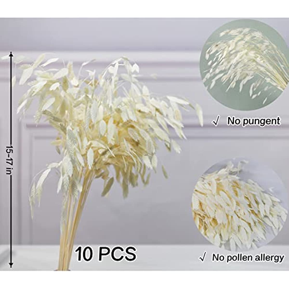 dried_flower - preserved_flower - fake_flower - 10Pcs Dried White Chasmanthium Grass Flowers Bouquet 17" Natural Real Plant Leaves - Molly Garden - Molly_Garden_Floral