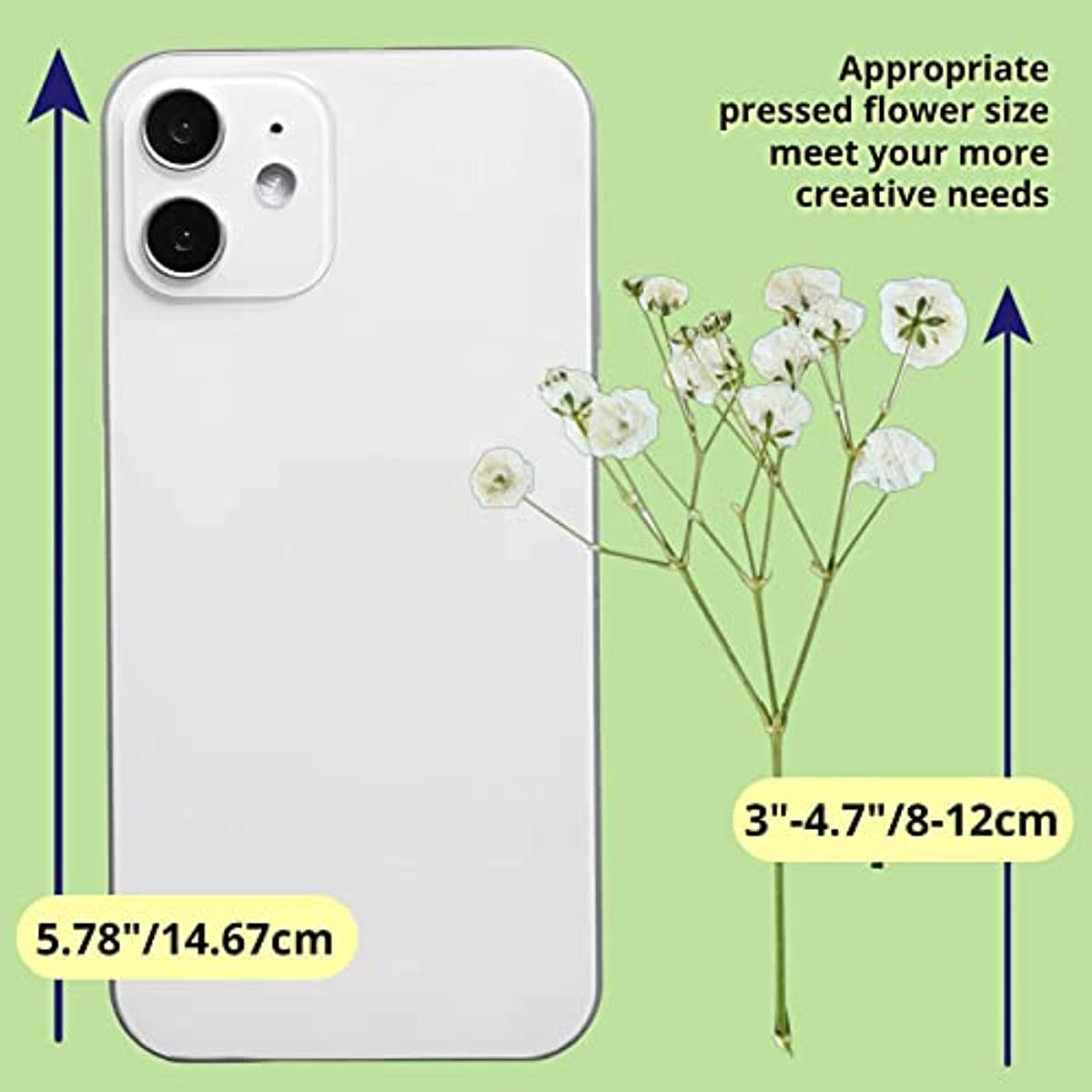 dried_flower - preserved_flower - fake_flower - 90Pcs White Dried Pressed Babys Breath Flowers Real 100% Gypsophila Bulk - Molly Garden - Molly_Garden_Floral
