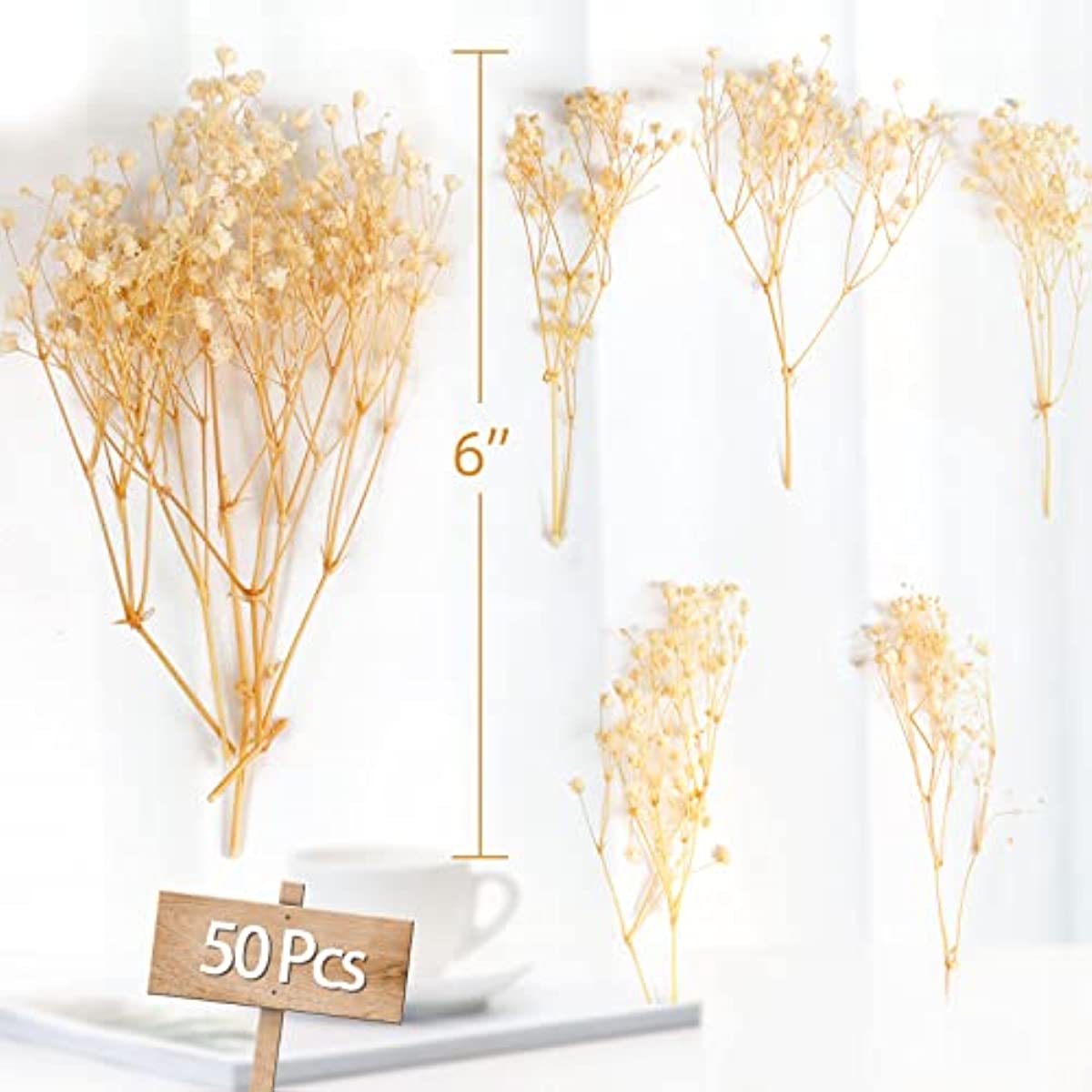 dried_flower - preserved_flower - fake_flower - 50Pcs Mini Dried Babys Breath Flowers 3000+head Natural Gypsophila Bouquet - Molly Garden - Molly_Garden_Floral