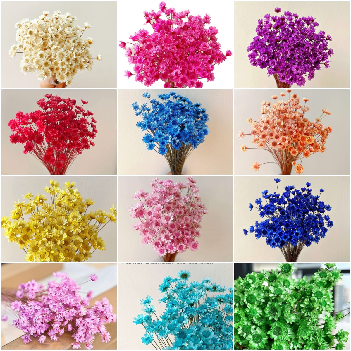 dried_flower - preserved_flower - fake_flower - 200Stems Brazilian Small Star Daisy Dried Flowers Mini Chamomile Bouquet - Molly Garden - Molly_Garden_Floral