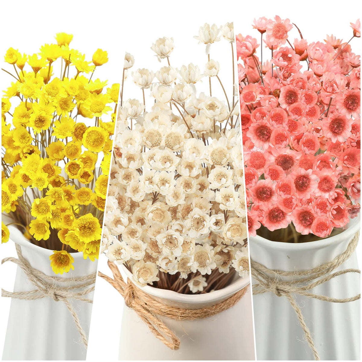 dried_flower - preserved_flower - fake_flower - 200Pcs Natural Dry Flowers Brazilian Small Star Daisy Dried Mini Chamomile Bouquet - Molly Garden - Molly_Garden_Floral