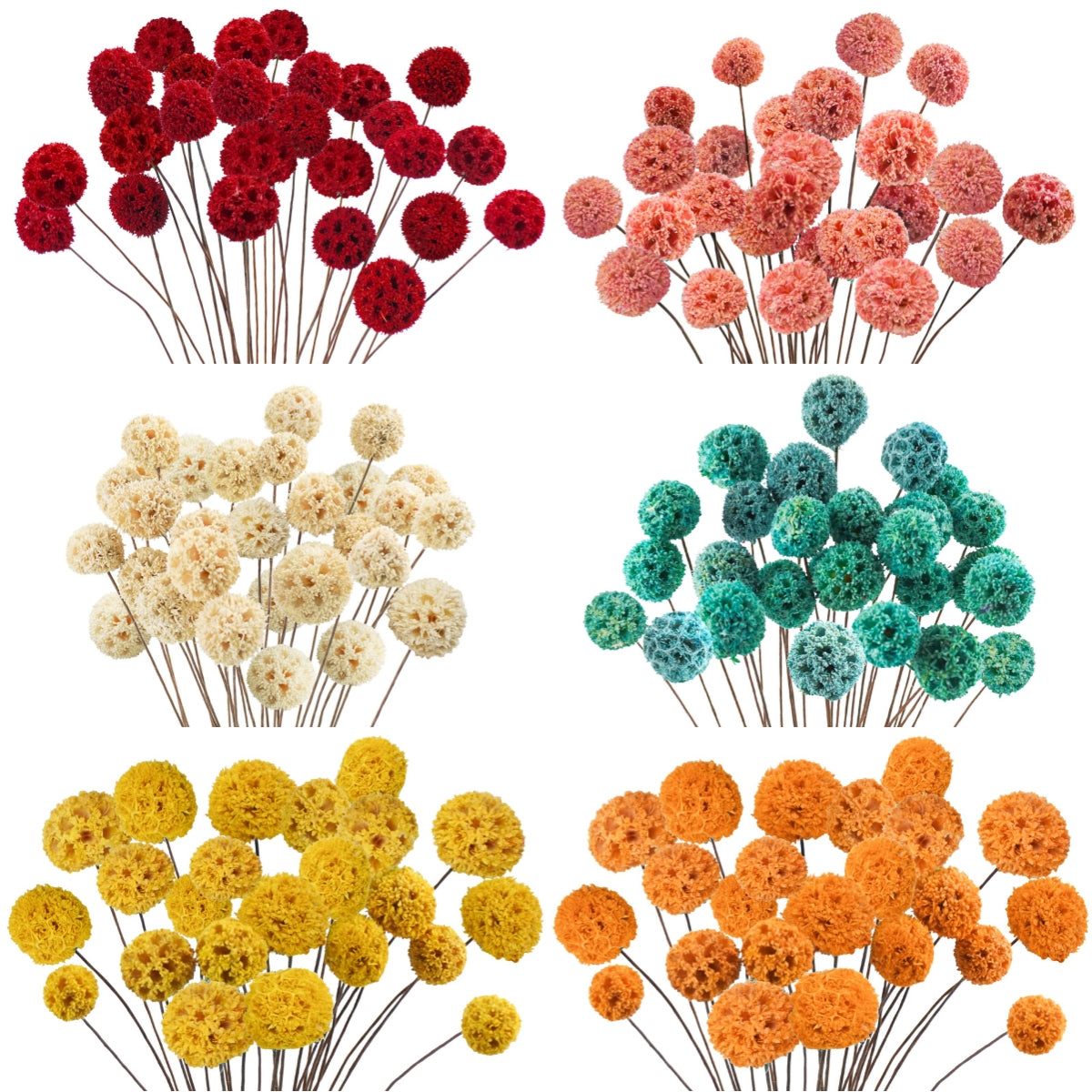 dried_flower - preserved_flower - fake_flower - 24Pcs Dried Craspedia Billy Balls Flowers 18β Natural Floral Arrangements - Molly Garden - Molly_Garden_Floral