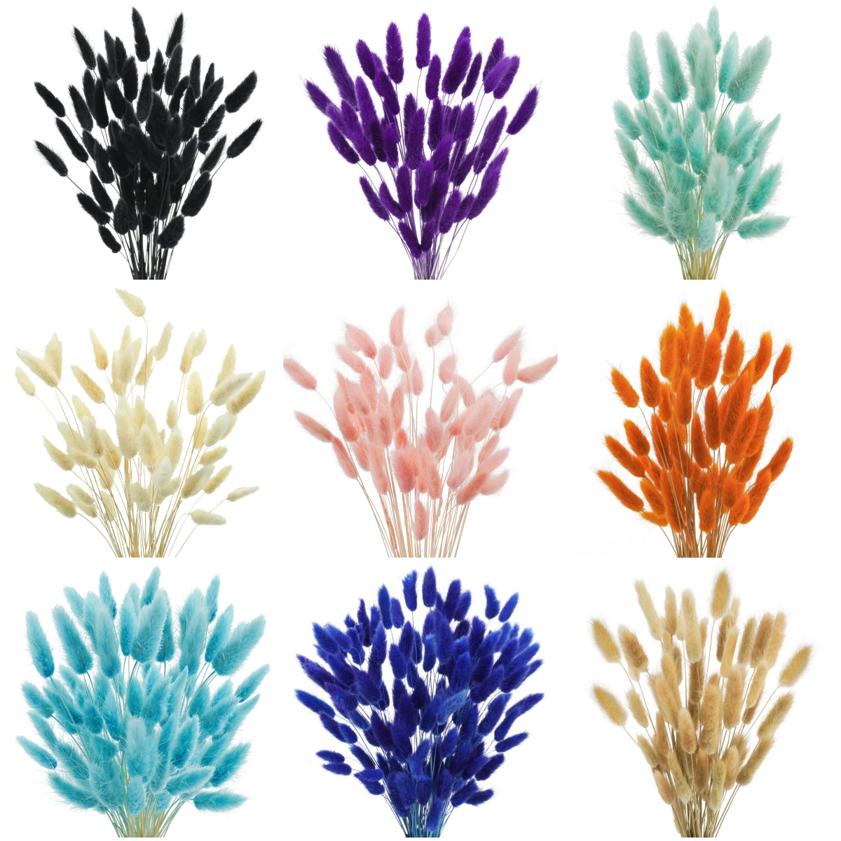 dried_flower - preserved_flower - fake_flower - 50Pcs Dried Lagurus Ovatus 17’’ Natural Bunny Tails Flowers Dried Pampas Grass - Molly Garden - Molly_Garden_Floral