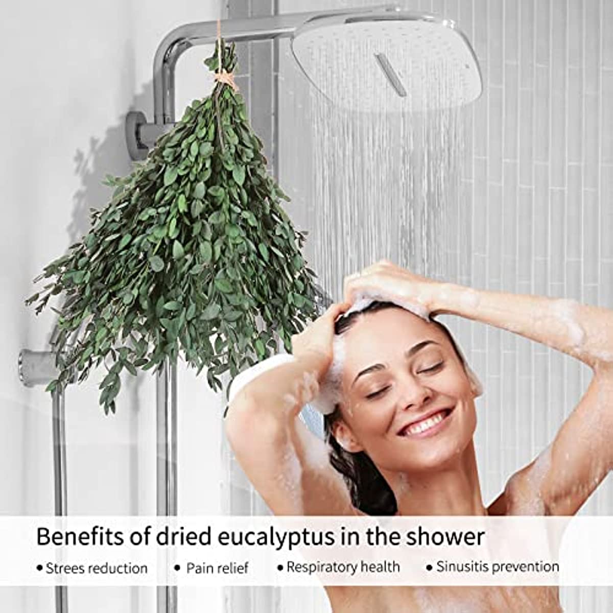 dried_flower - preserved_flower - fake_flower - 8-15Pcs Real Natural Preserved Eucalyptus Leaves Plant Bundle Shower Hanging - Molly Garden - Molly_Garden_Floral