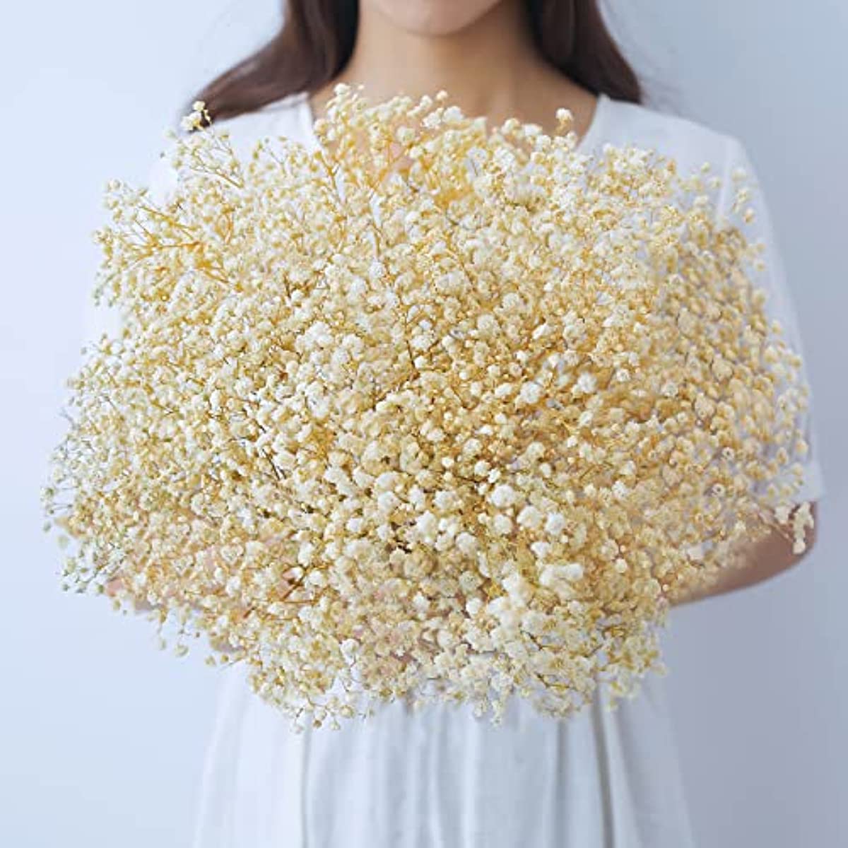 dried_flower - preserved_flower - fake_flower - 2500+Head Dried Flowers Babys Breath Bouquet Natural Gypsophila Branches - Molly Garden - Molly_Garden_Floral