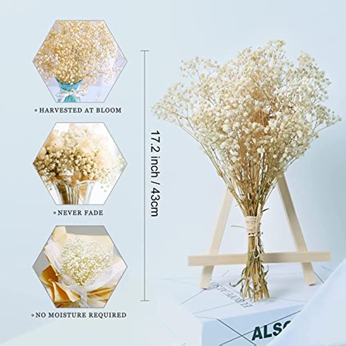 dried_flower - preserved_flower - fake_flower - 2500+Head Dried Flowers Babys Breath Bouquet Natural Gypsophila Branches - Molly Garden - Molly_Garden_Floral