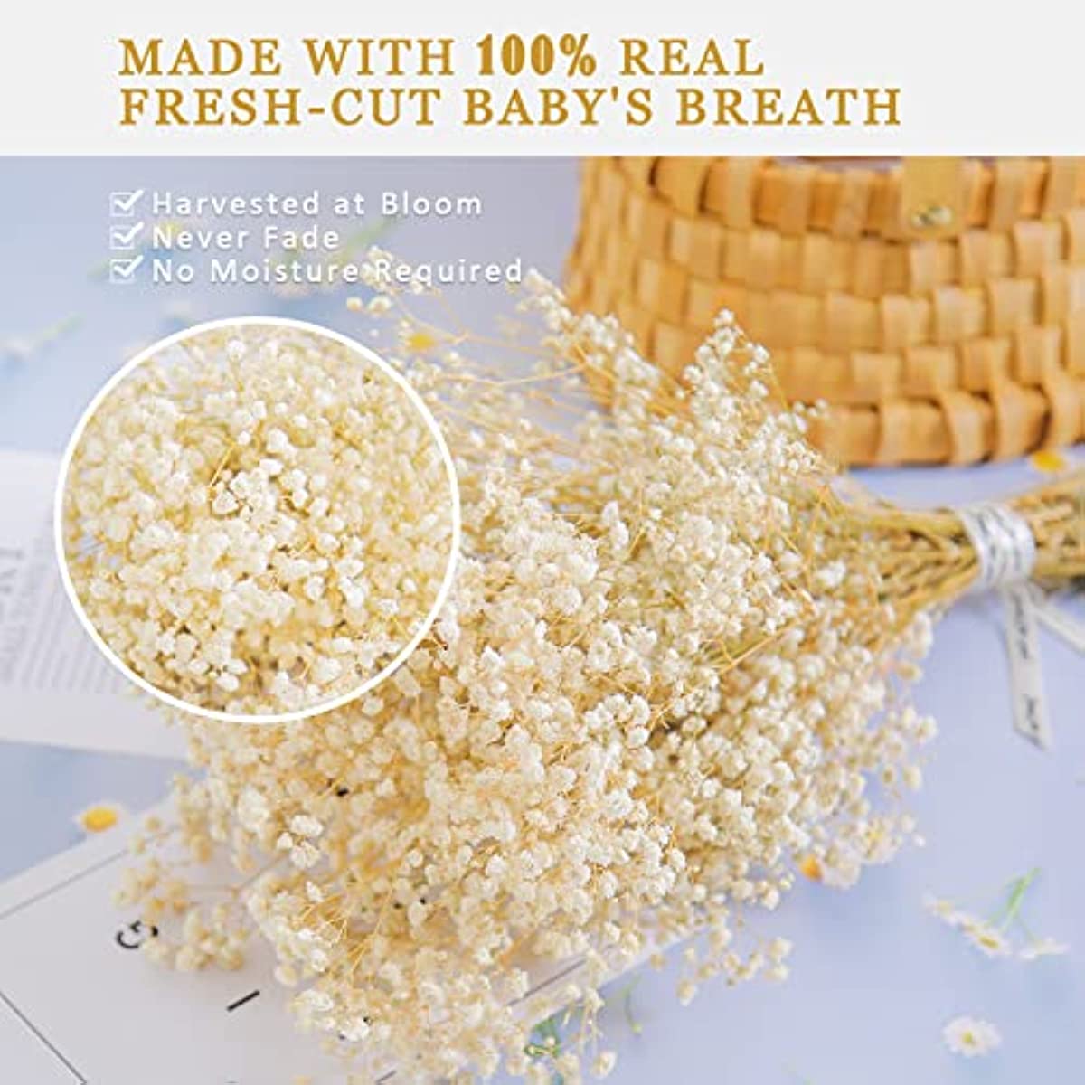 dried_flower - preserved_flower - fake_flower - 2500+Head Dried Flowers Babys Breath Bouquet Natural Gypsophila Branches - Molly Garden - Molly_Garden_Floral