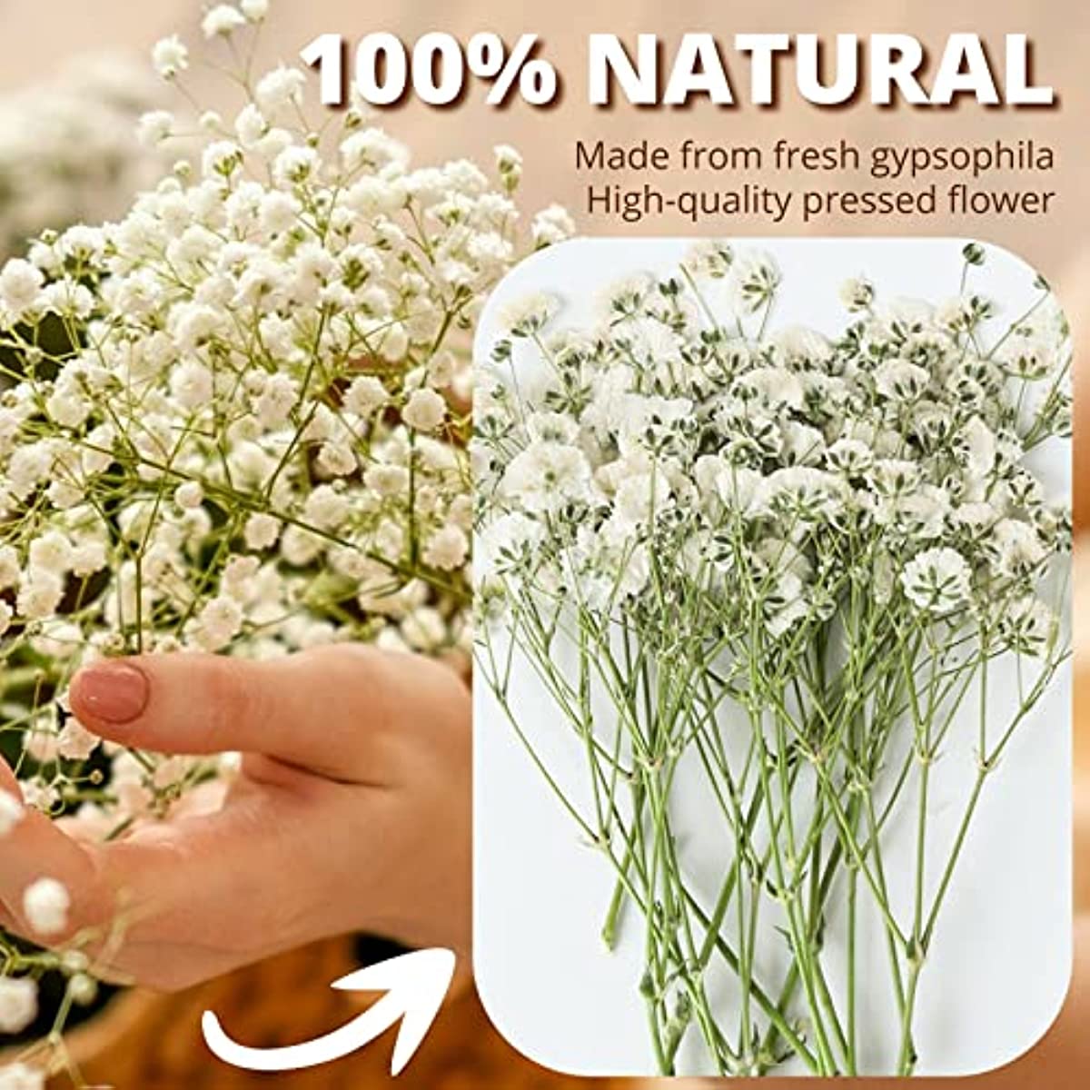 dried_flower - preserved_flower - fake_flower - 90Pcs White Dried Pressed Babys Breath Flowers Real 100% Gypsophila Bulk - Molly Garden - Molly_Garden_Floral