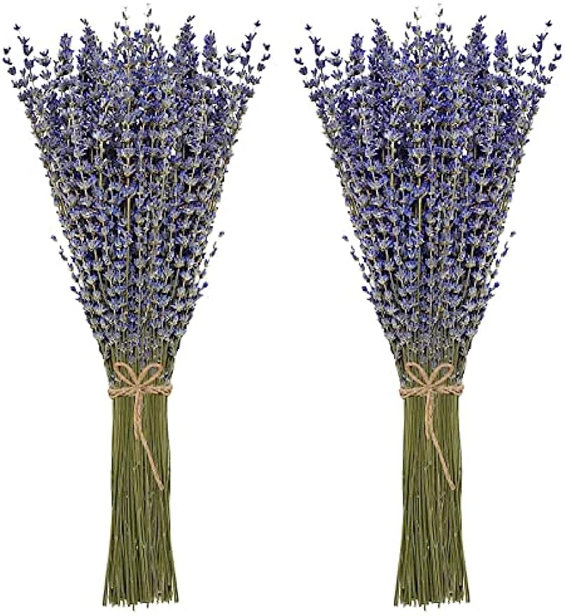 dried_flower - preserved_flower - fake_flower - 2Pack Bundles Dried Lavender Bundles Flowers 100% Natural for Home Decoration - Molly Garden - Molly_Garden_Floral