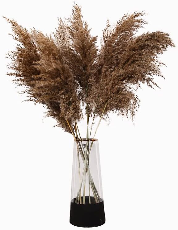 dried_flower - preserved_flower - fake_flower - 10Pcs Natural Pampas Grass Bouquet Bohemian Decorative Dried Flowers - Molly Garden - Molly_Garden_Floral