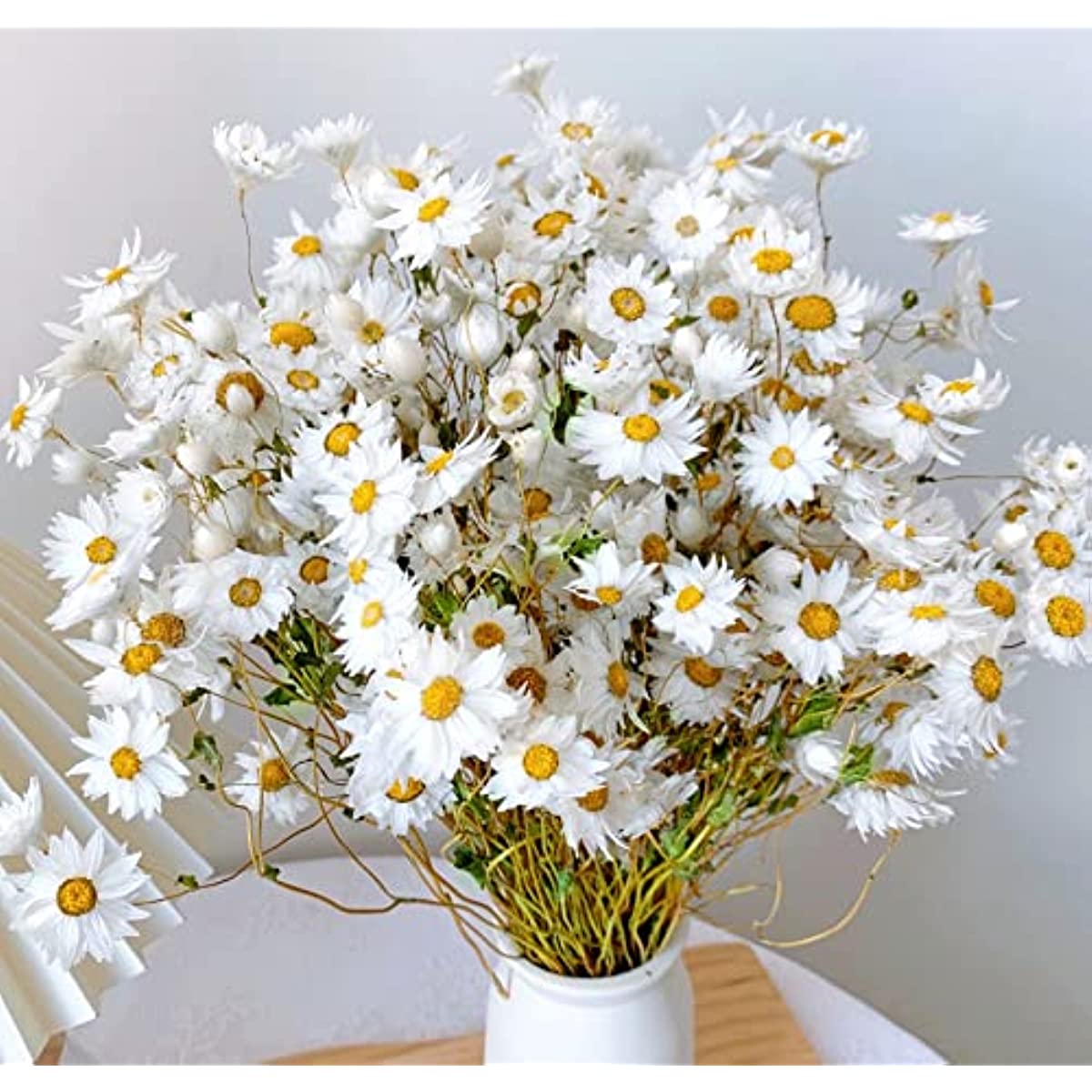 dried_flower - preserved_flower - fake_flower - 250+Real Chrysanthemum Rhodanthe Daisies 17'' Gerber Dried Daisy White Flowers - Molly Garden - Molly_Garden_Floral