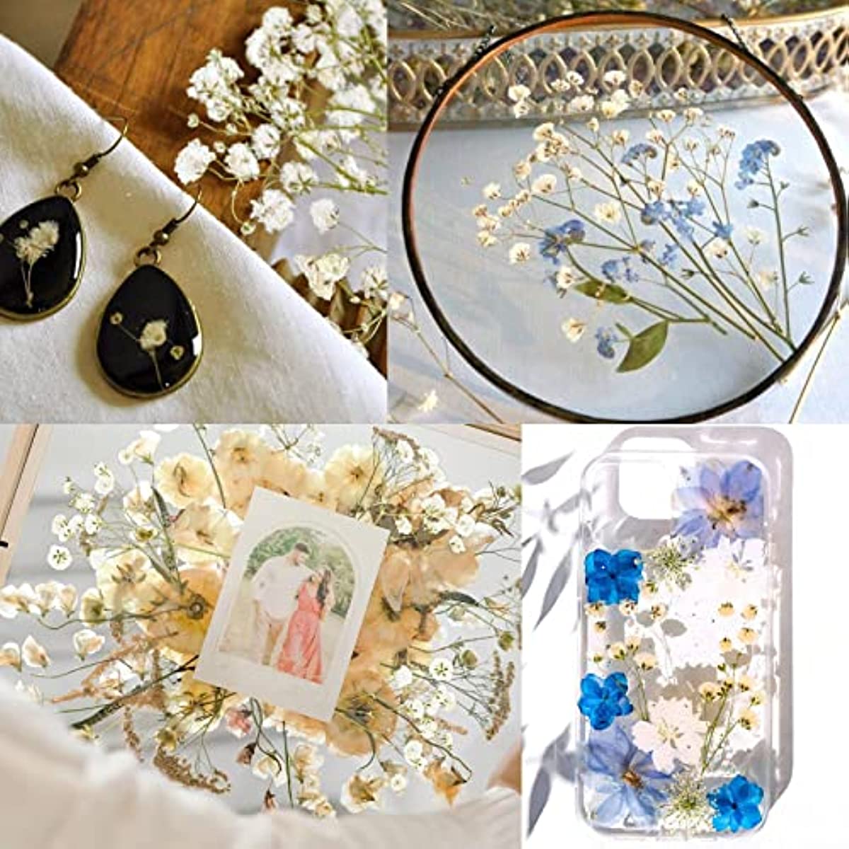 dried_flower - preserved_flower - fake_flower - 90Pcs White Dried Pressed Babys Breath Flowers Real 100% Gypsophila Bulk - Molly Garden - Molly_Garden_Floral