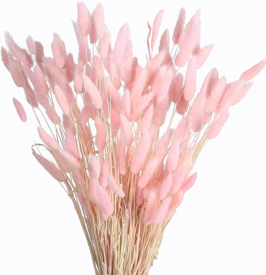 dried_flower - preserved_flower - fake_flower - 120Pcs Dried Bunny Tails Flowers Rabbit Tail Grass Lagurus Ovatus Bouquet - Molly Garden - Molly_Garden_Floral