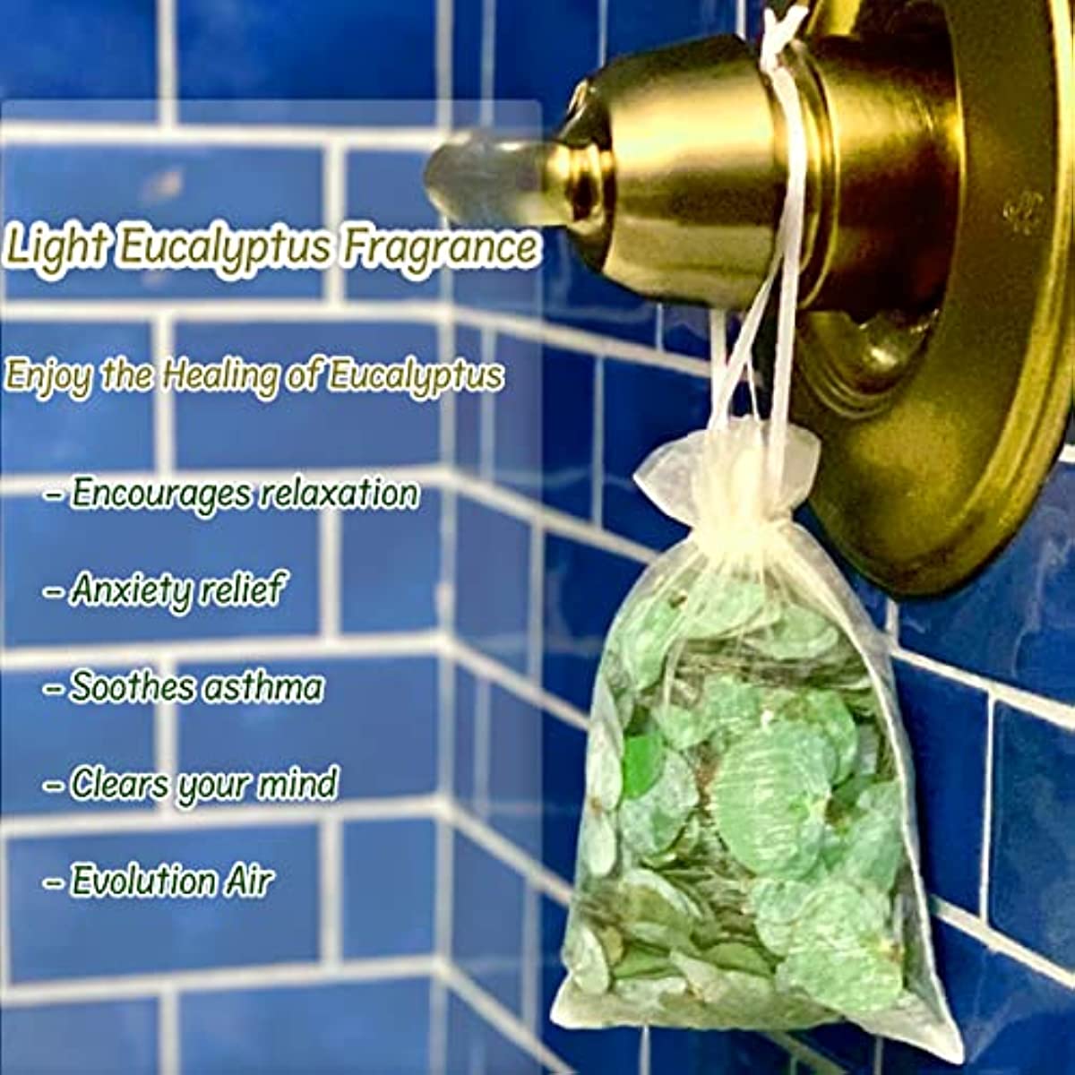 dried_flower - preserved_flower - fake_flower - 1600+ Small Preserved 100% Natural Real Bulk Biodegradable Eucalyptus Leaves - Molly Garden - Molly_Garden_Floral