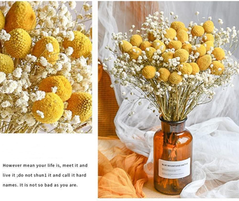 dried_flower - preserved_flower - fake_flower - 208Pcs Gypsophila Dried Flower Bouquet with 15Pcs Natural Yellow Billy Balls - Molly Garden - Molly_Garden_Floral