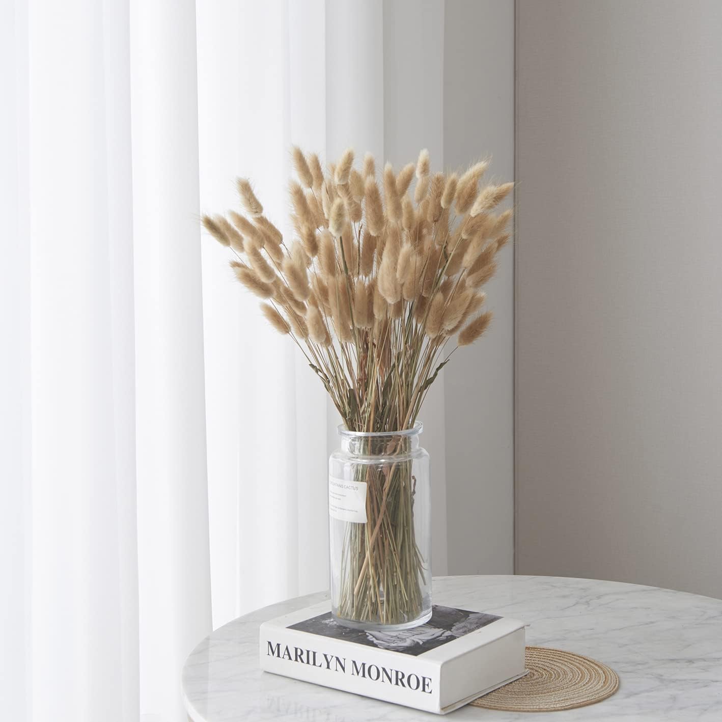 dried_flower - preserved_flower - fake_flower - 120Pcs Natural Dried Bunny Tail Grass Flowers for Home Decor & Floral Arrangements - Molly Garden - Molly_Garden_Floral