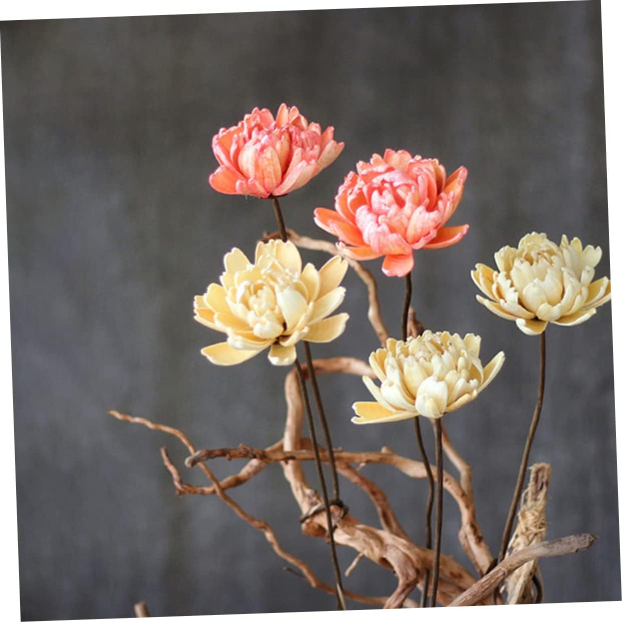 dried_flower - preserved_flower - fake_flower - 2Pcs Dried Flowers Decor Wedding Bouquets Plants Natural Preserved Florals - Molly Garden - Molly_Garden_Floral