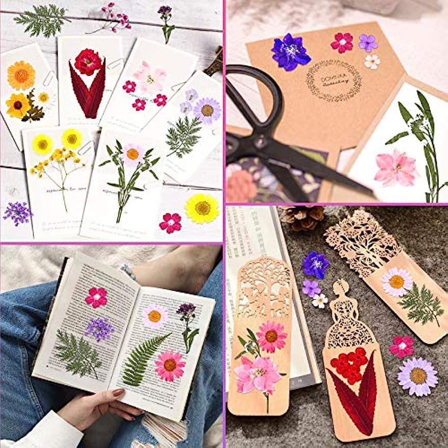 dried_flower - preserved_flower - fake_flower - 140Pcs Dried Pressed Flowers for Resin Real Flowers Dry Leaves Bulk Natural Kit - Molly Garden - Molly_Garden_Floral