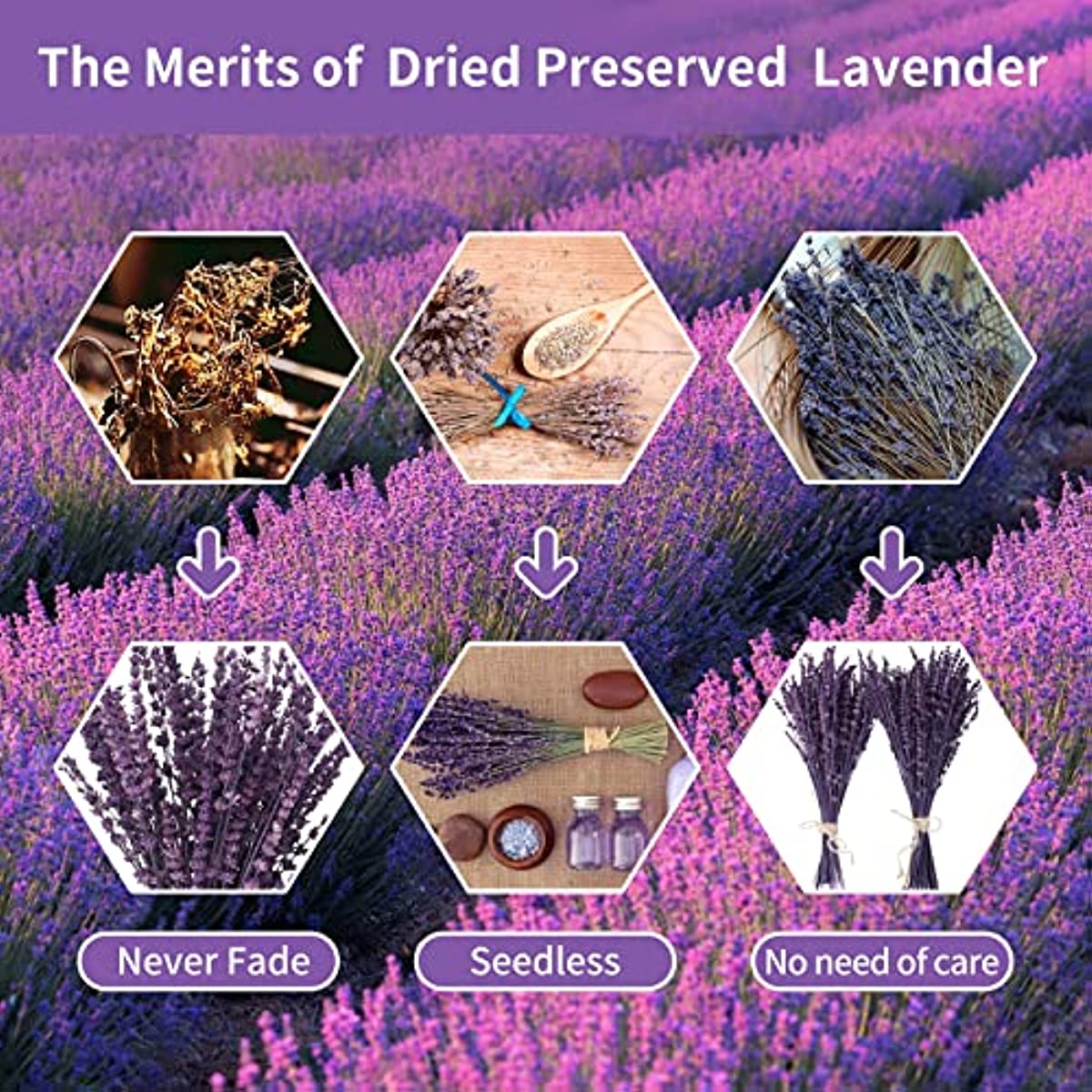 dried_flower - preserved_flower - fake_flower - 180-200Stems Dried Preserved Lavender Flowers Bundle 100% Natural 15-17" Bouquet - Molly Garden - Molly_Garden_Floral