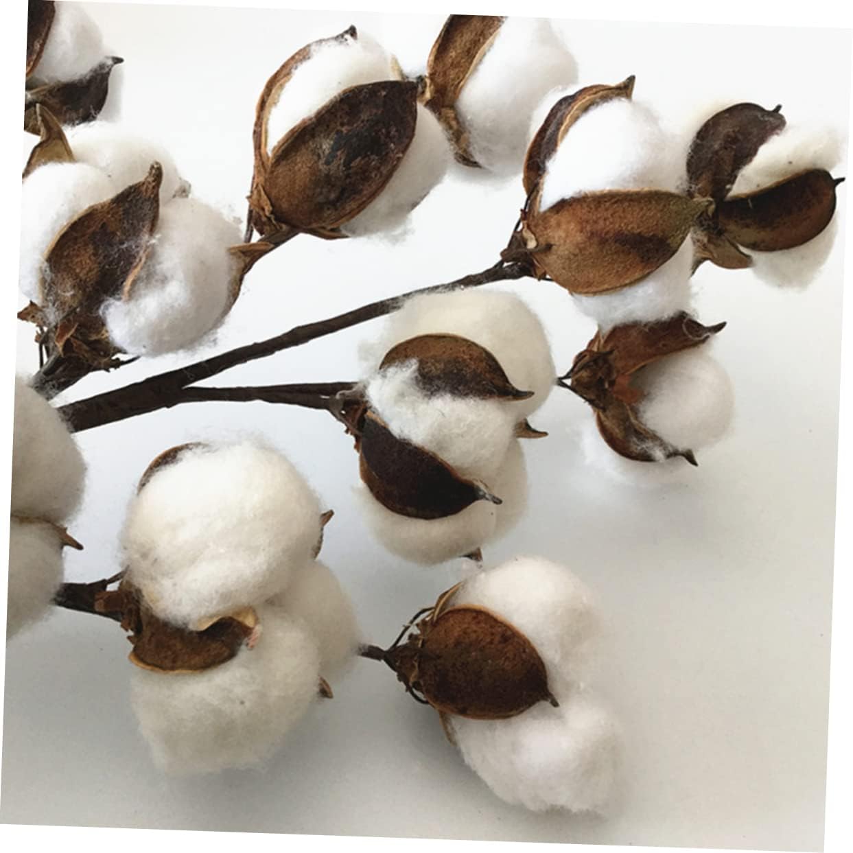 dried_flower - preserved_flower - fake_flower - 12Branches Plant Decorations Cotton Floral Pick White Decor Dried Flower Stems - Molly Garden - Molly_Garden_Floral