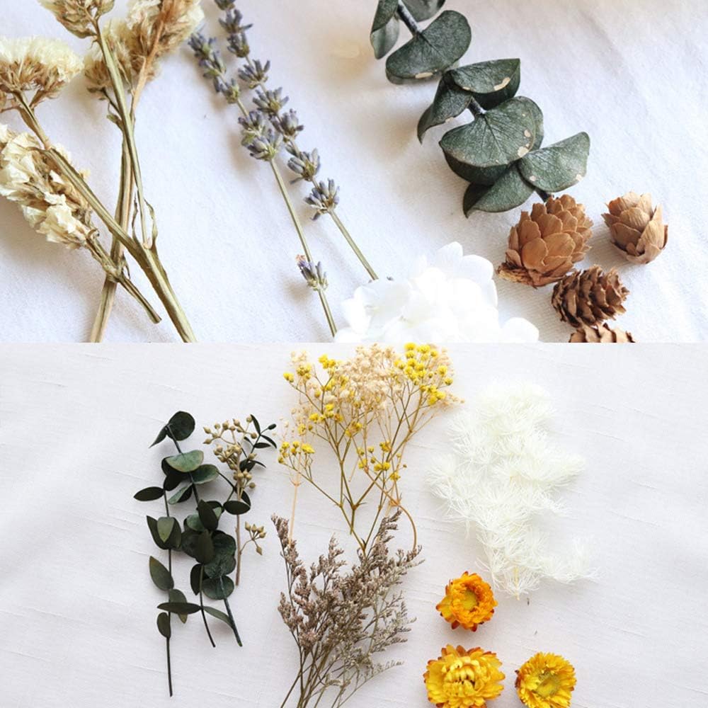 dried_flower - preserved_flower - fake_flower - 4Box Premium Dried Pressed Leaves and Flowers Dry Plants for Handmade - Molly Garden - Molly_Garden_Floral
