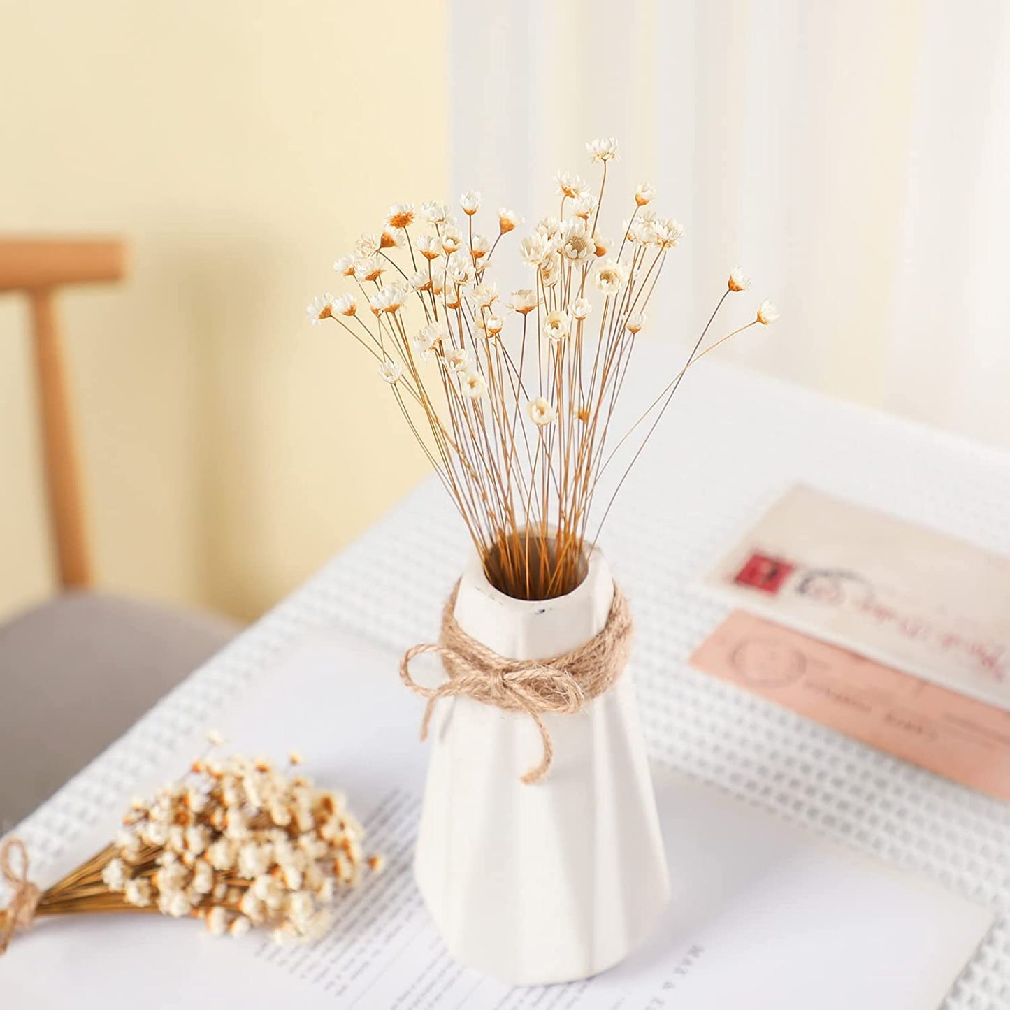dried_flower - preserved_flower - fake_flower - 200Pcs Natural Dry Flowers Brazilian Small Star Daisy Dried Mini Chamomile Bouquet - Molly Garden - Molly_Garden_Floral