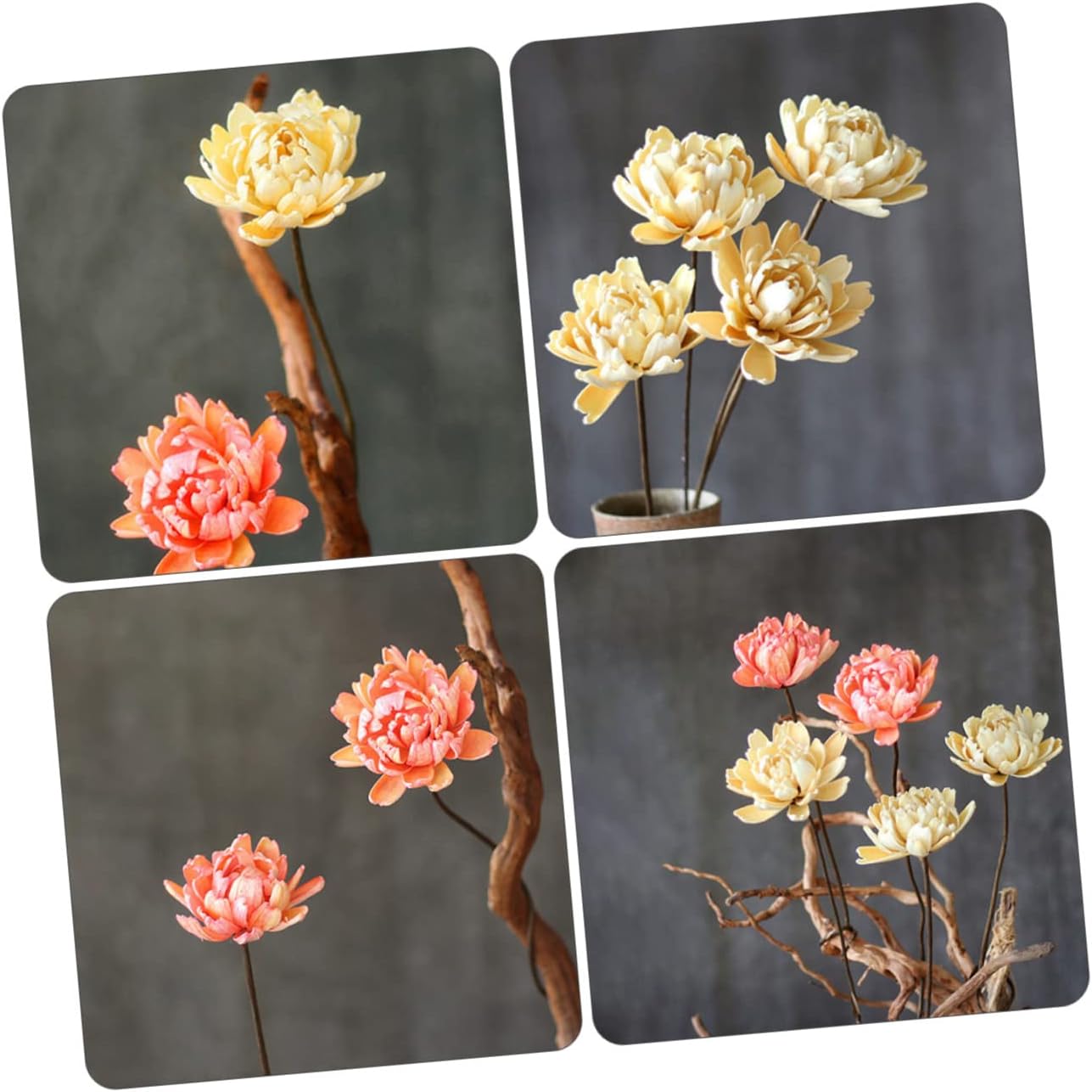 dried_flower - preserved_flower - fake_flower - 2Pcs Dried Flowers Decor Wedding Bouquets Plants Natural Preserved Florals - Molly Garden - Molly_Garden_Floral