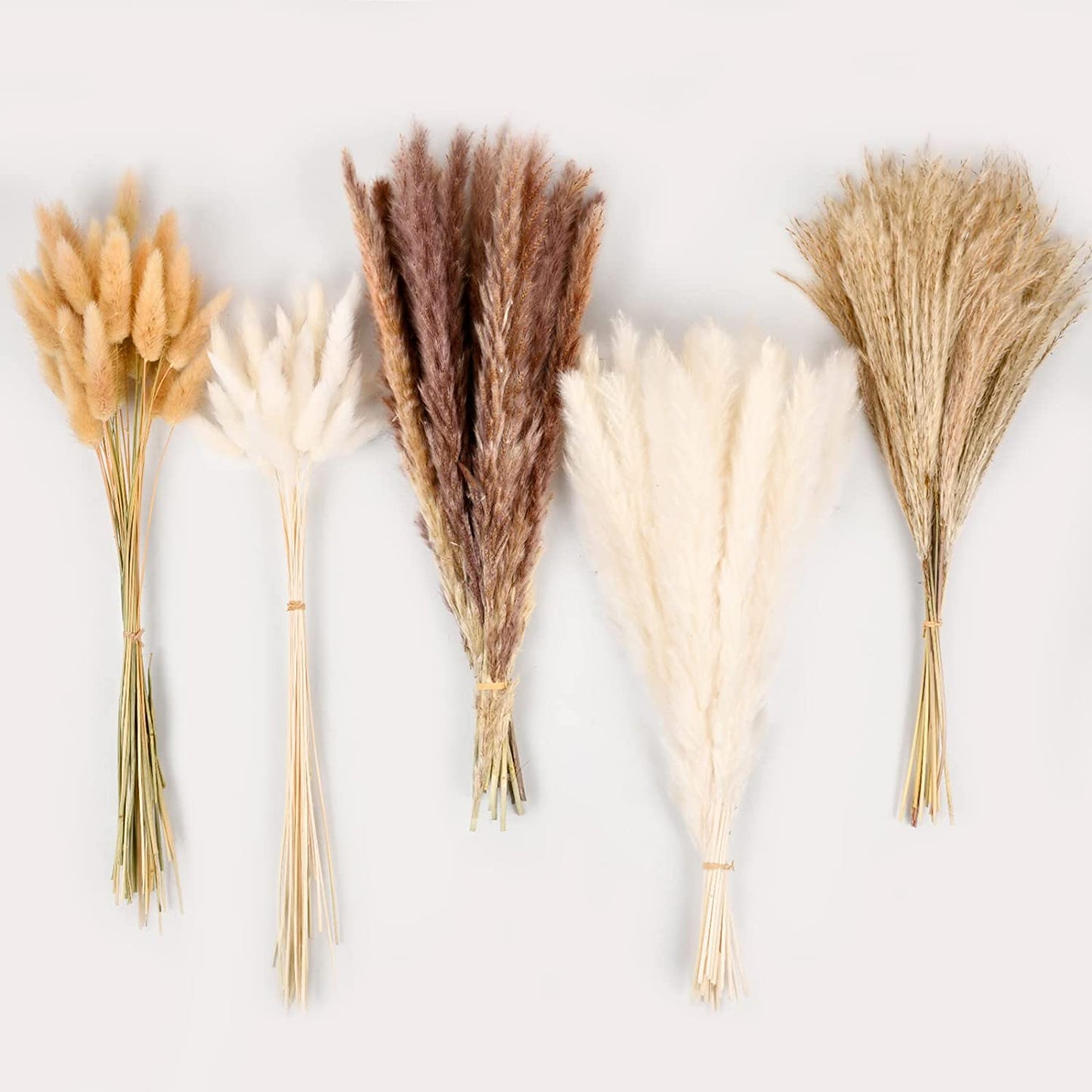 dried_flower - preserved_flower - fake_flower - 92Pcs Natural Mixed Dried Pampas Flowers Grass Bouquet for Boho Home Decor - Molly Garden - Molly_Garden_Floral