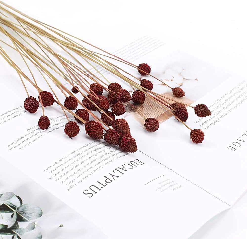 dried_flower - preserved_flower - fake_flower - 30Pcs Dried Flowers Bouquet Bulk Mini Floral Natural Dried Plants Handmade - Molly Garden - Molly_Garden_Floral