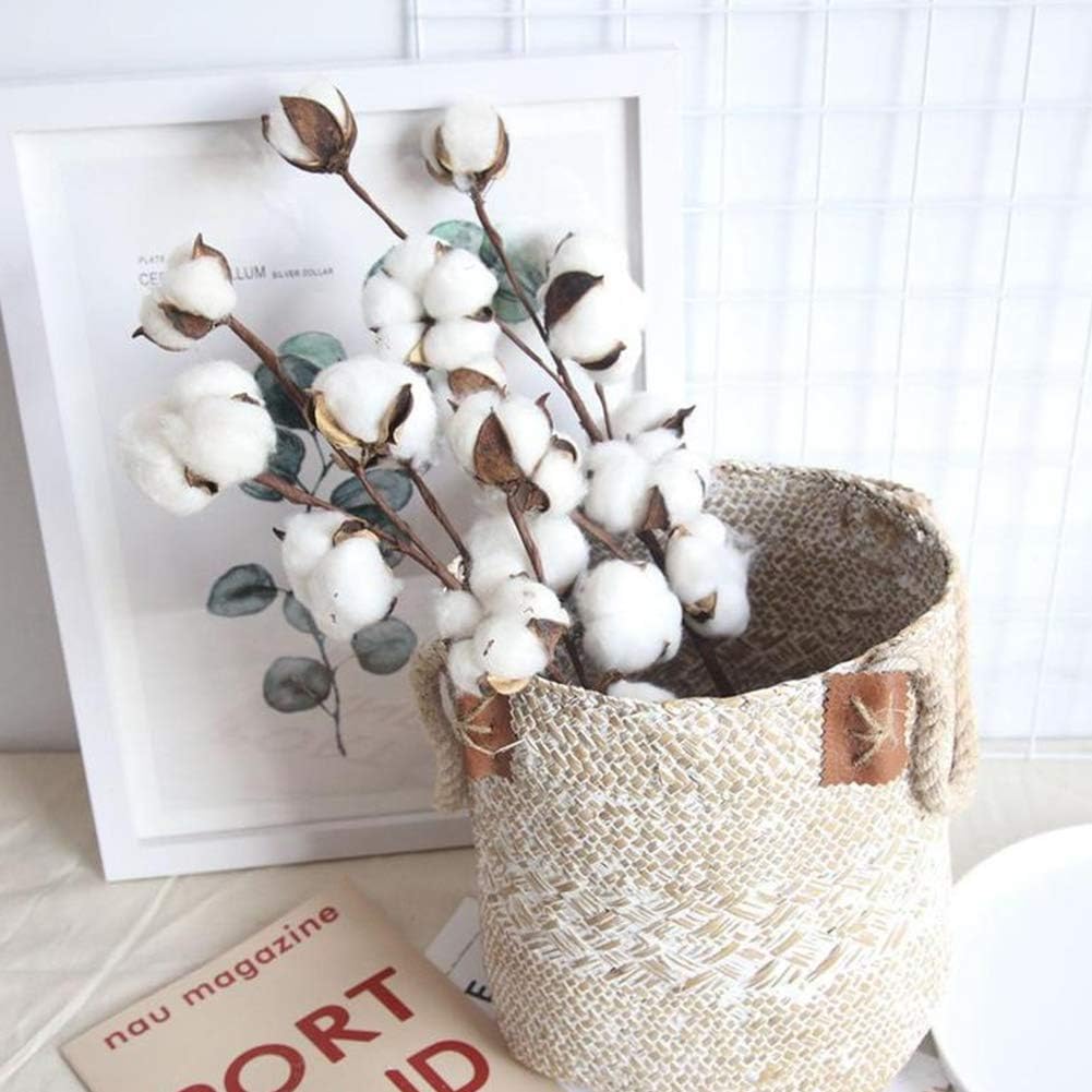 dried_flower - preserved_flower - fake_flower - Cotton Stems Natural Dried Plant 8Packs Total 15 Balls Spring Blooms Floral - Molly Garden - Molly_Garden_Floral