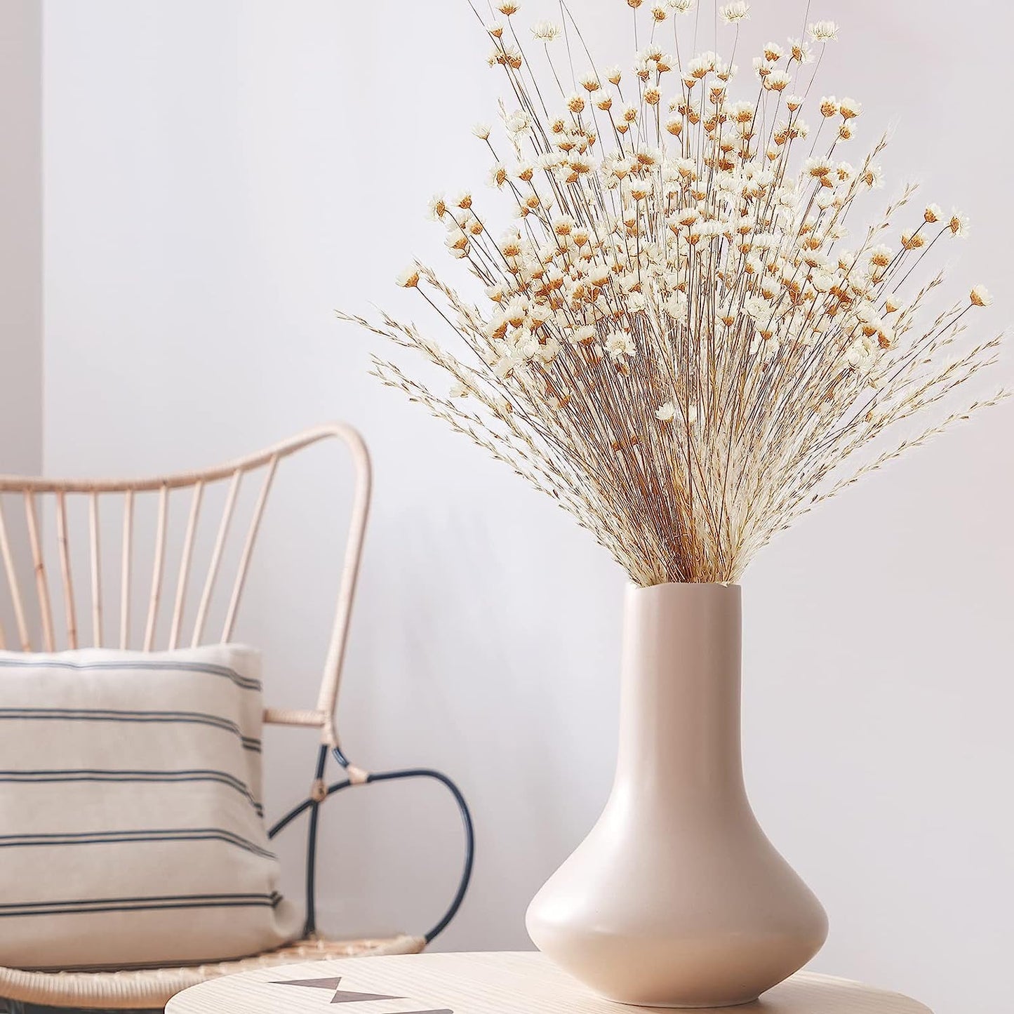 dried_flower - preserved_flower - fake_flower - 200Pcs Natural Dry Flowers Brazilian Small Star Daisy Dried Mini Chamomile Bouquet - Molly Garden - Molly_Garden_Floral