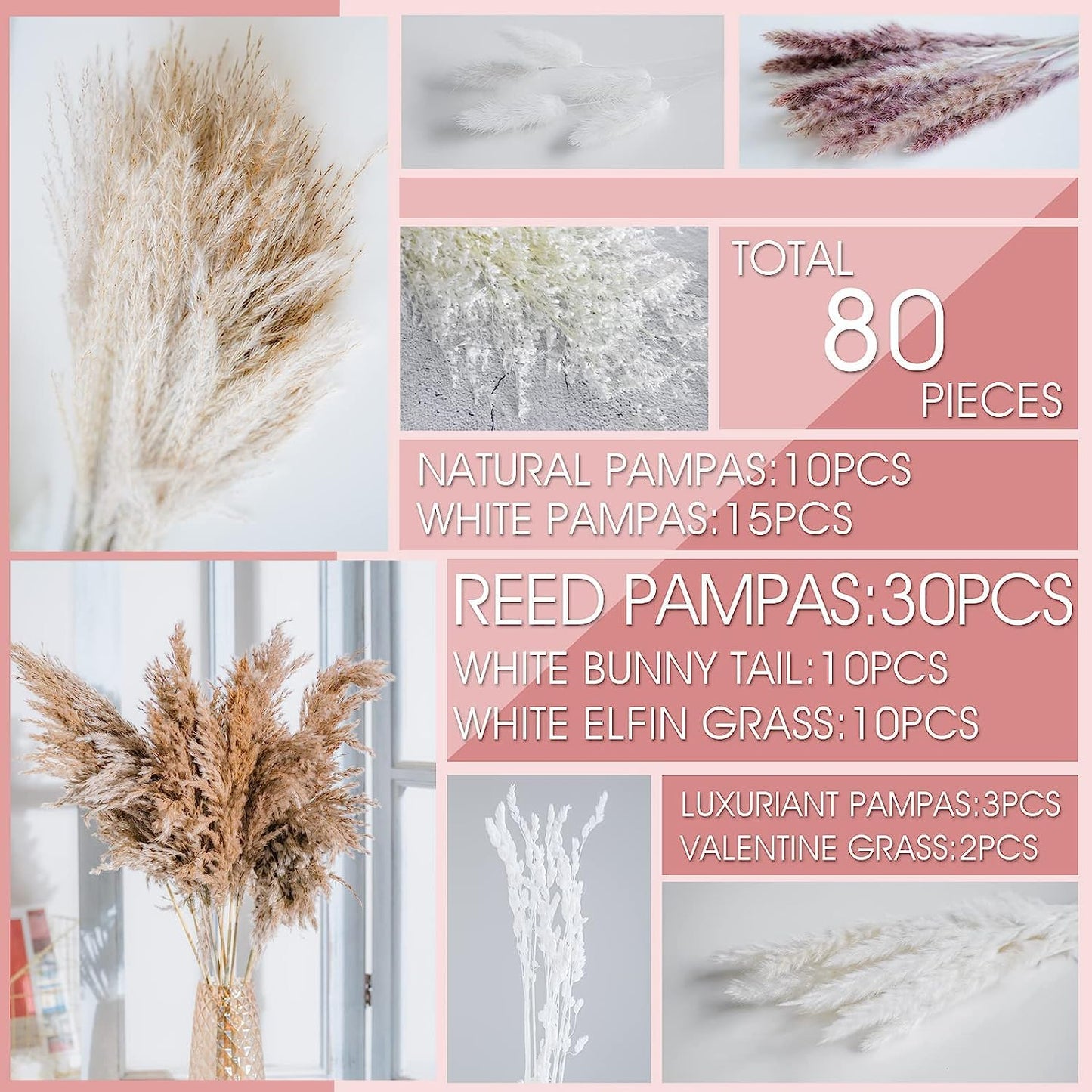 dried_flower - preserved_flower - fake_flower - 80Pcs Natural Dried Pampas Grass Bouquet Boho Home Decor Dry Phragmites - Molly Garden - Molly_Garden_Floral
