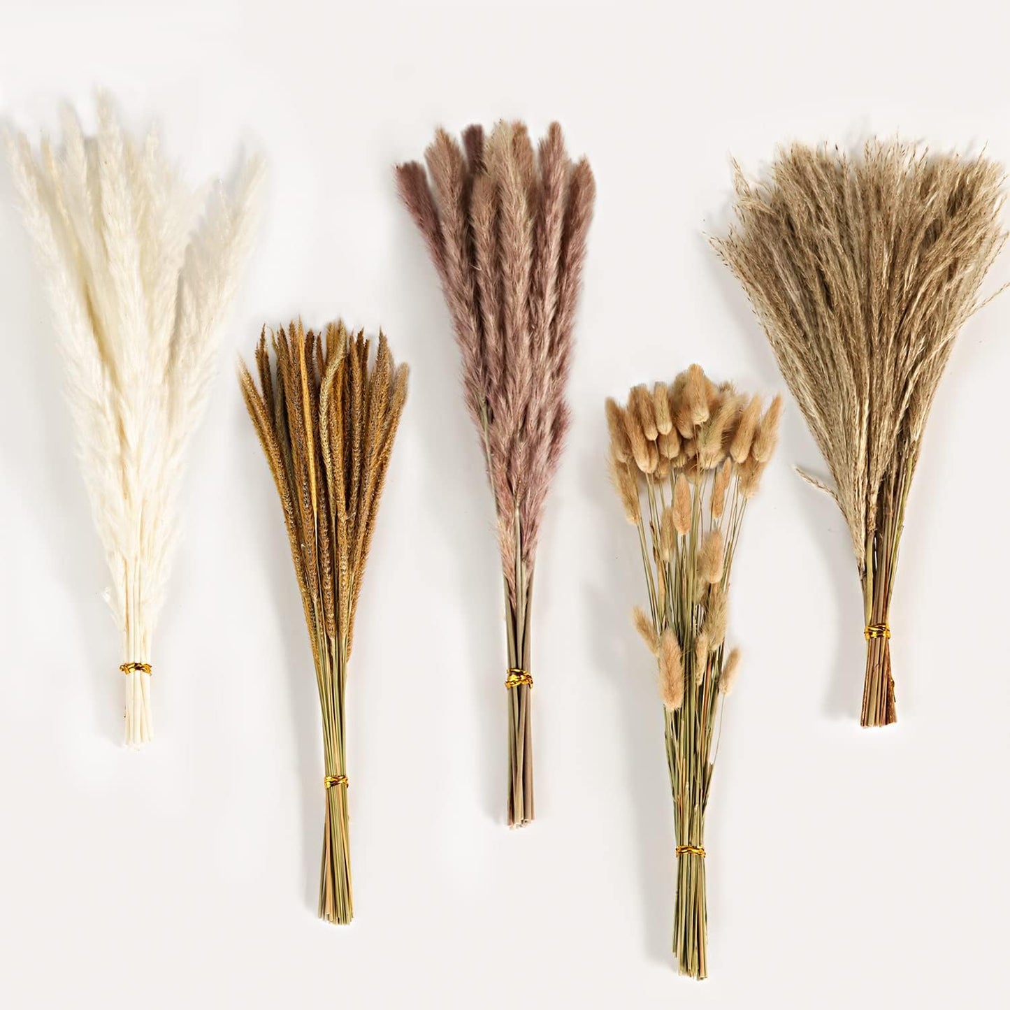 dried_flower - preserved_flower - fake_flower - 120Pcs Dried Pampas Grass Decor Bouquet Phragmites Flowers Floral Arrangements - Molly Garden - Molly_Garden_Floral