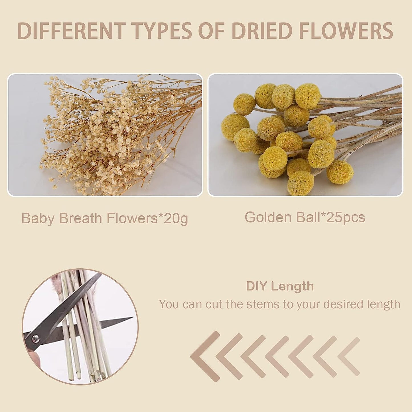 dried_flower - preserved_flower - fake_flower - 25Pcs Babys Breath Boho Flower Billy Balls Natural Dried Flower Bouquet for Boho - Molly Garden - Molly_Garden_Floral