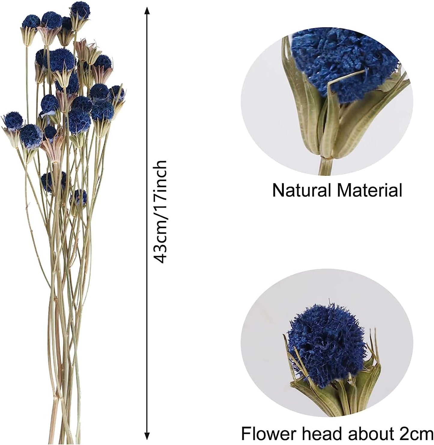 dried_flower - preserved_flower - fake_flower - 40Pcs Natural Dried Flowers Bouquet Bulk Craspedia Billy Button Balls - Molly Garden - Molly_Garden_Floral