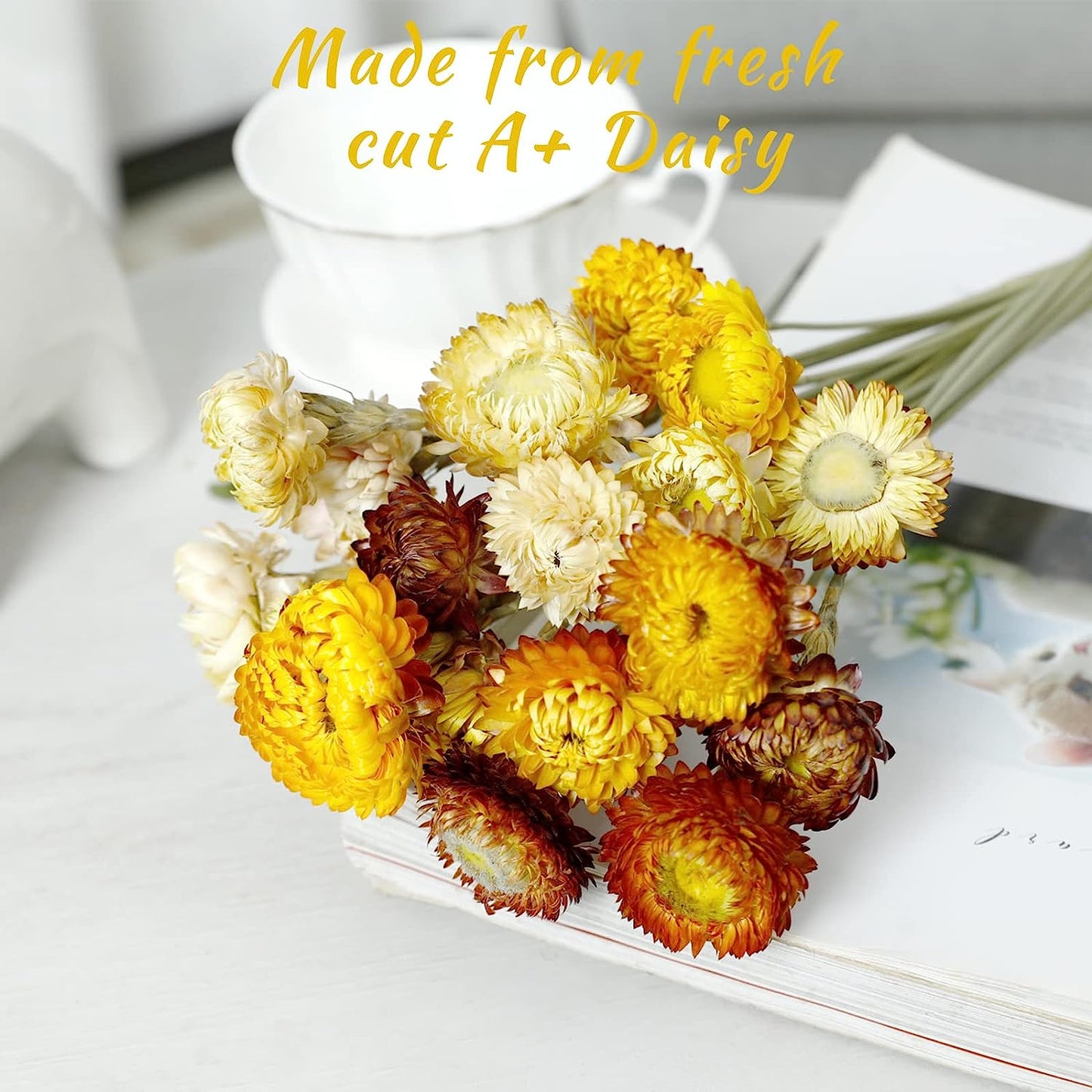 dried_flower - preserved_flower - fake_flower - 40Pcs Dried Flower Daisy Bouquet 100% Natural Chrysanthemum Dry Floral - Molly Garden - Molly_Garden_Floral