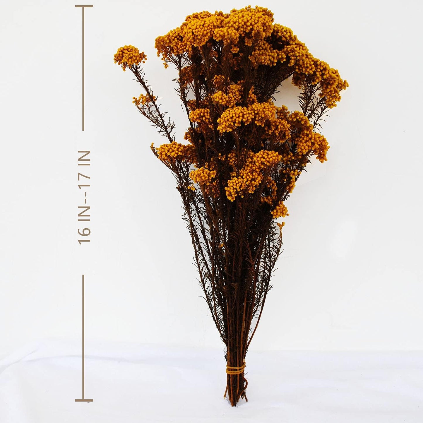 dried_flower - preserved_flower - fake_flower - Golden Manor Natural Millet Flowers Dried Bouquet for Home Wedding Decoration - Molly Garden - Molly_Garden_Floral