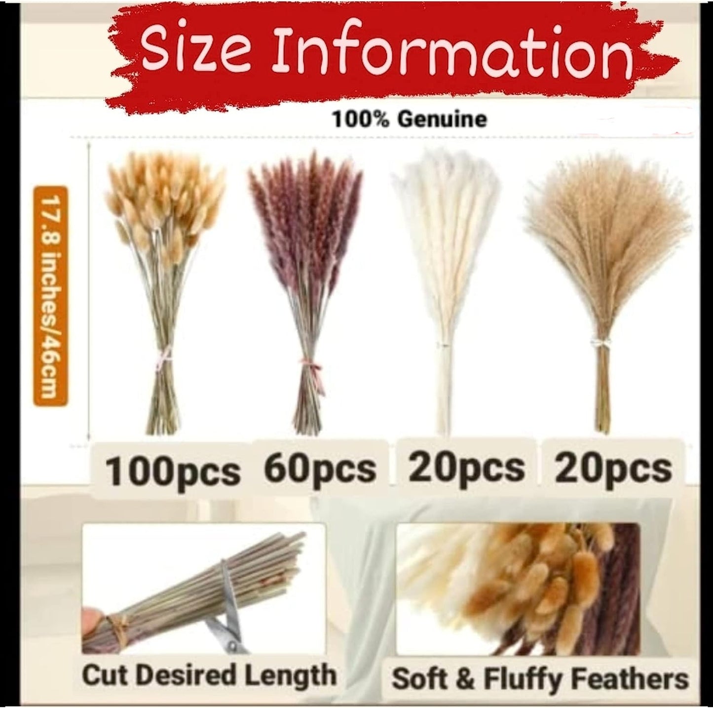 dried_flower - preserved_flower - fake_flower - 200Pcs Pampas Grass Dried Flower Arrangement Bunny Tail Feather Grass - Molly Garden - Molly_Garden_Floral