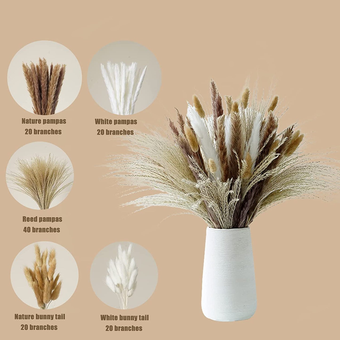 dried_flower - preserved_flower - fake_flower - 120Pcs Dried Pampas Grass Home Decor with Bunny Tails Reed Grass Bouquet - Molly Garden - Molly_Garden_Floral
