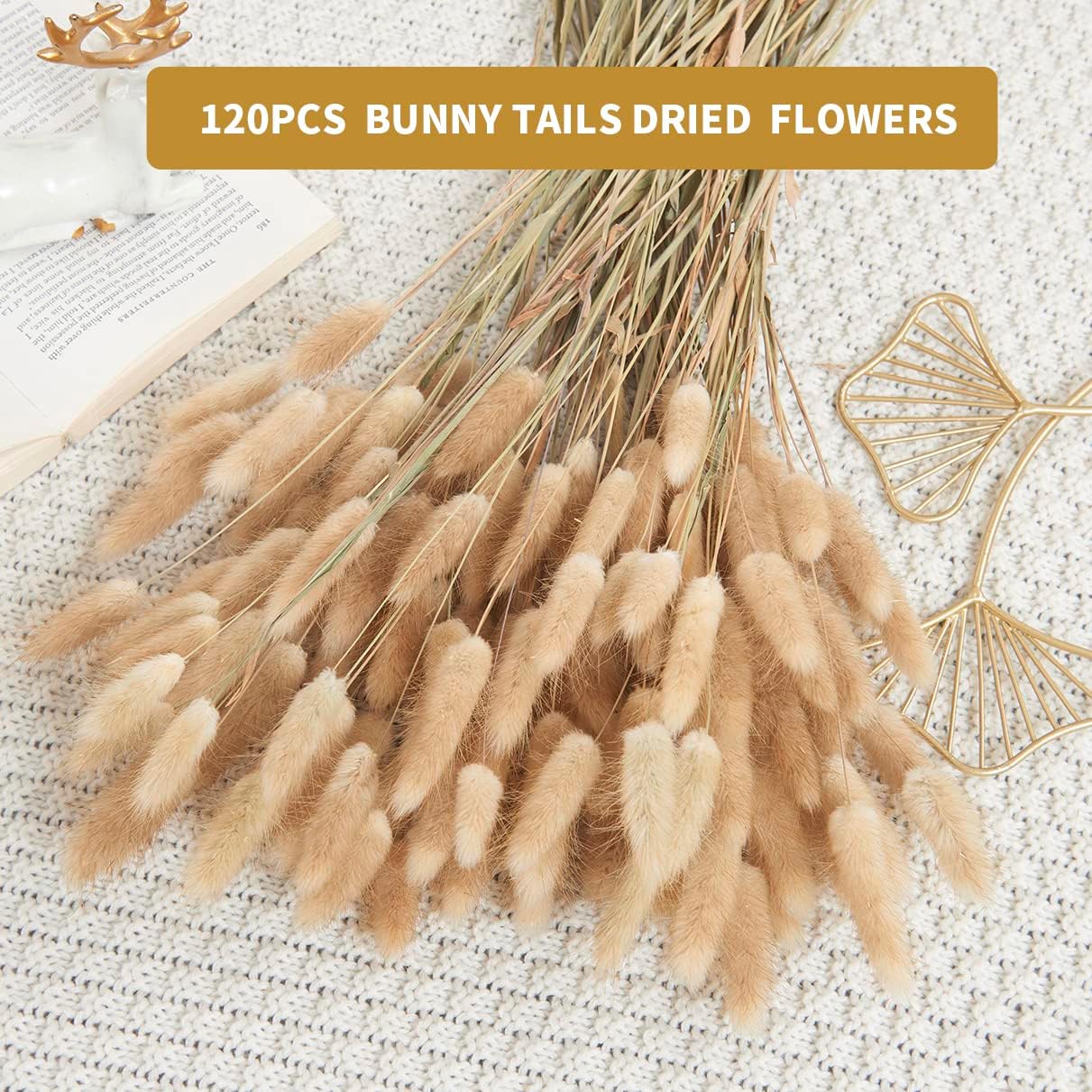 dried_flower - preserved_flower - fake_flower - 120Pcs Natural Dried Bunny Tail Grass Flowers for Home Decor & Floral Arrangements - Molly Garden - Molly_Garden_Floral