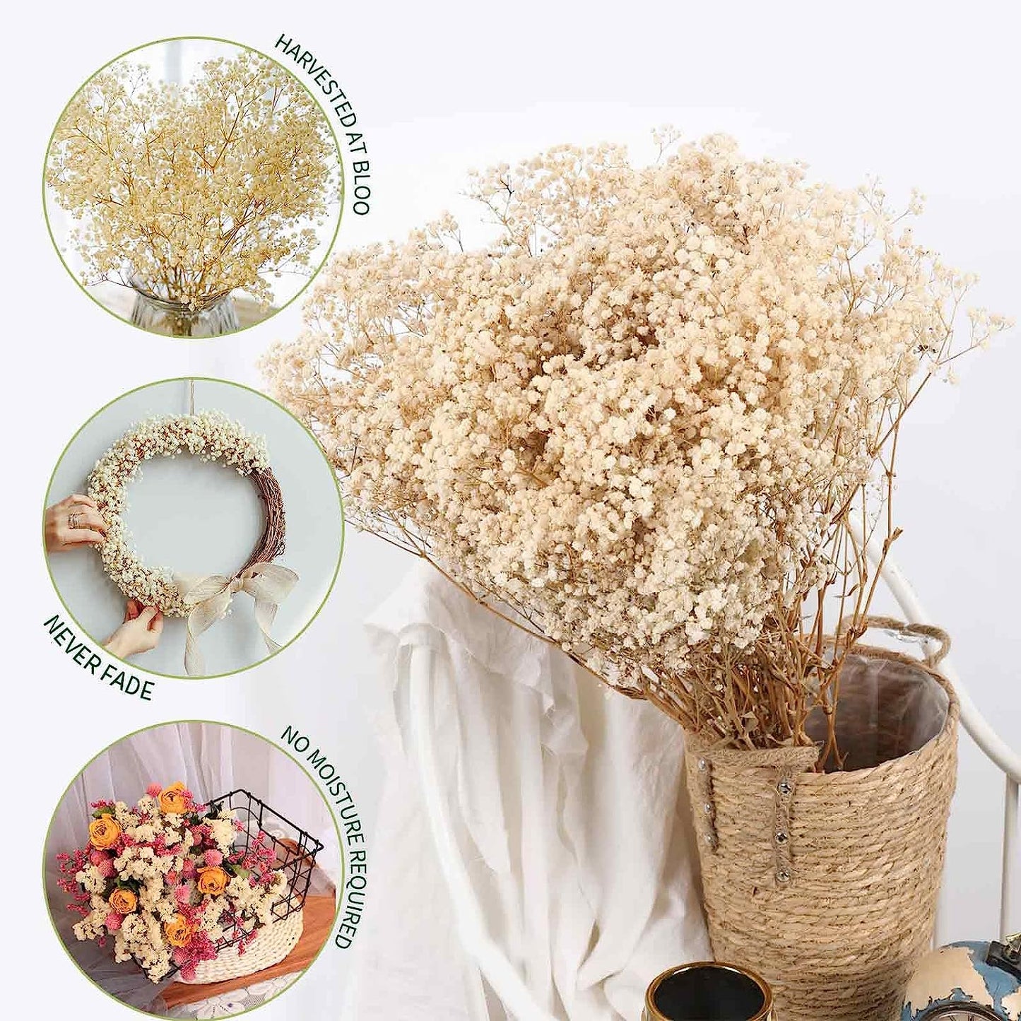 dried_flower - preserved_flower - fake_flower - 2500+Head Dried Babys Breath Flowers Bouquet 17'' Natural Gypsophila Branches - Molly Garden - Molly_Garden_Floral