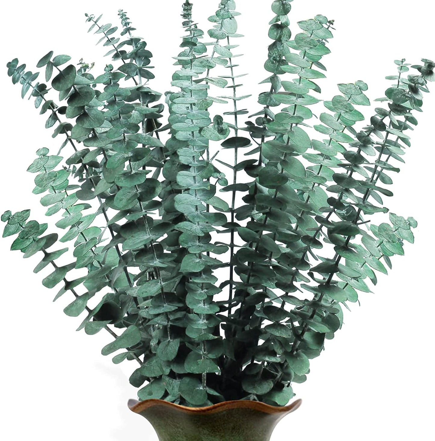 dried_flower - preserved_flower - fake_flower - 25Pcs Dried Preserved Eucalyptus Stems for Shower 17" Real Fresh Plant Bundle - Molly Garden - Molly_Garden_Floral