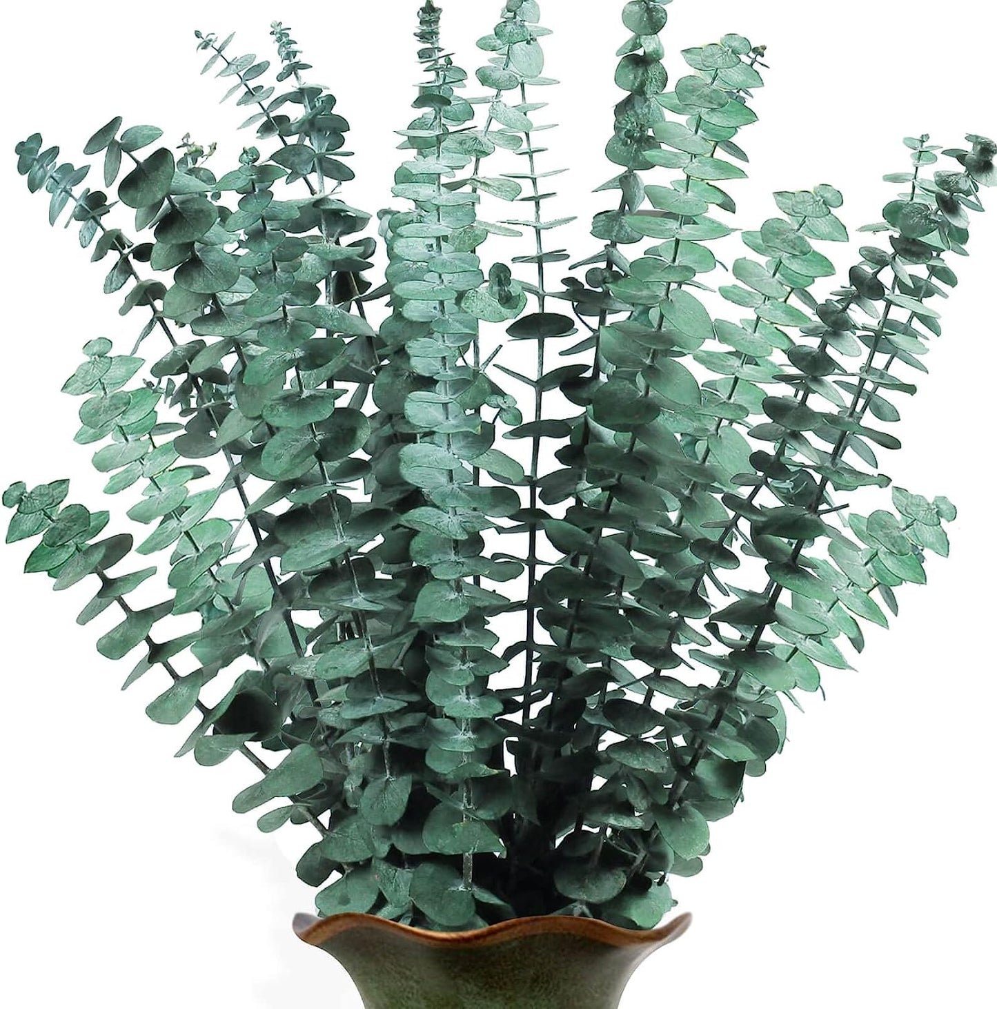 dried_flower - preserved_flower - fake_flower - 10Pcs Dried Preserved Eucalyptus Stems for Shower Real Natural Fresh Leaves - Molly Garden - Molly_Garden_Floral