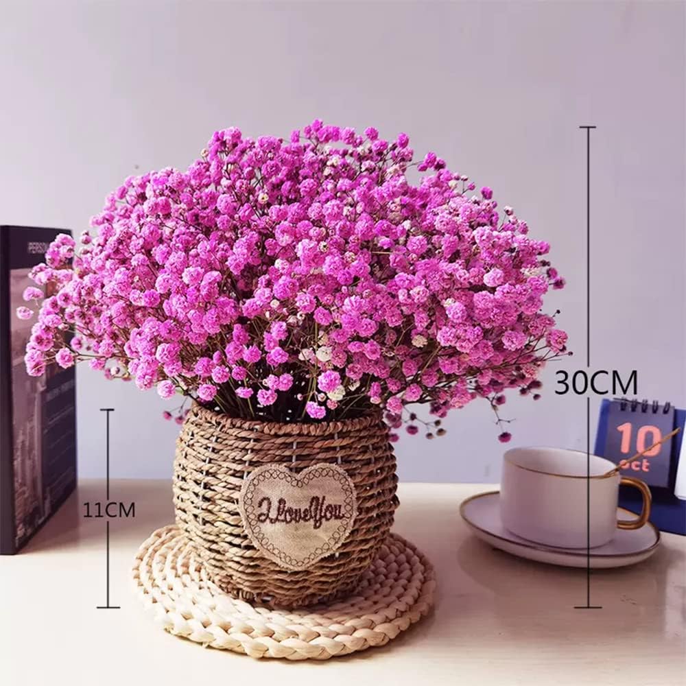 dried_flower - preserved_flower - fake_flower - Natural Air Dried Starry Dried Flower Bouquet with Stems Length 10-12'' - Molly Garden - Molly_Garden_Floral