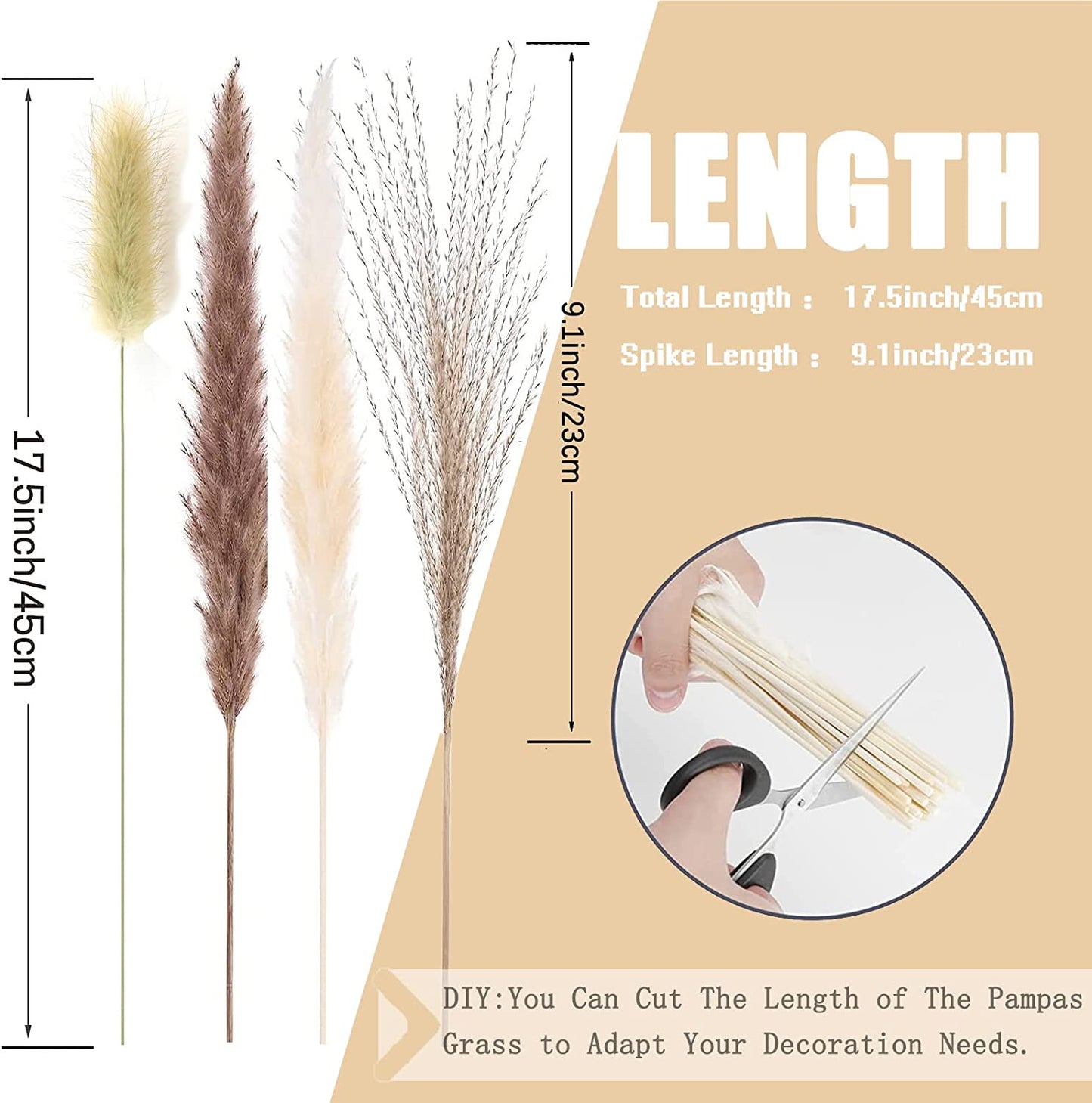 dried_flower - preserved_flower - fake_flower - 80Pcs 17.5 inch Natural Flowers Dried Pampas Grass Fluffy for Home Decor - Molly Garden - Molly_Garden_Floral