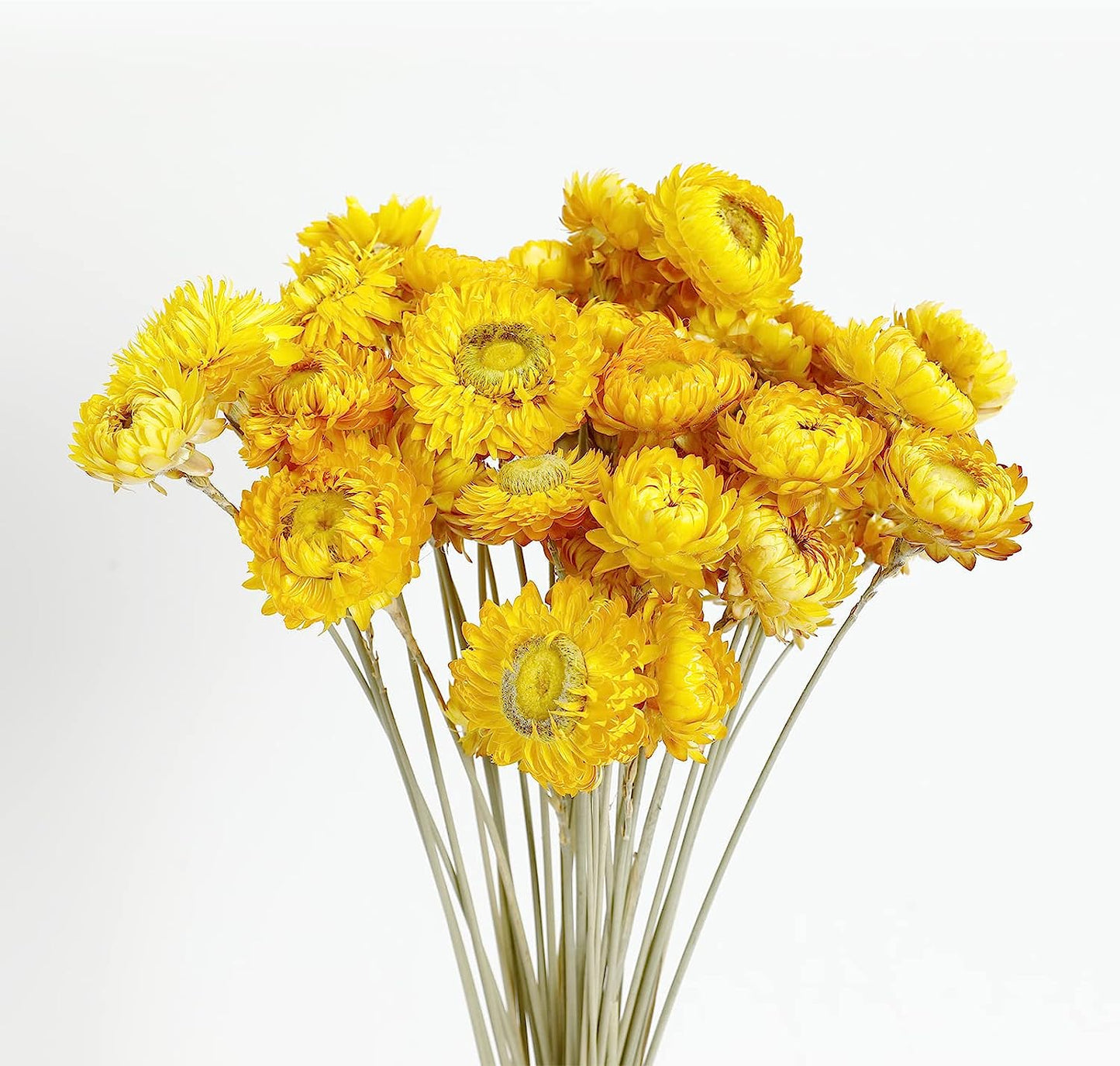 dried_flower - preserved_flower - fake_flower - 40Pcs Dried Flower Daisy Bouquet 100% Natural Chrysanthemum Dry Floral - Molly Garden - Molly_Garden_Floral